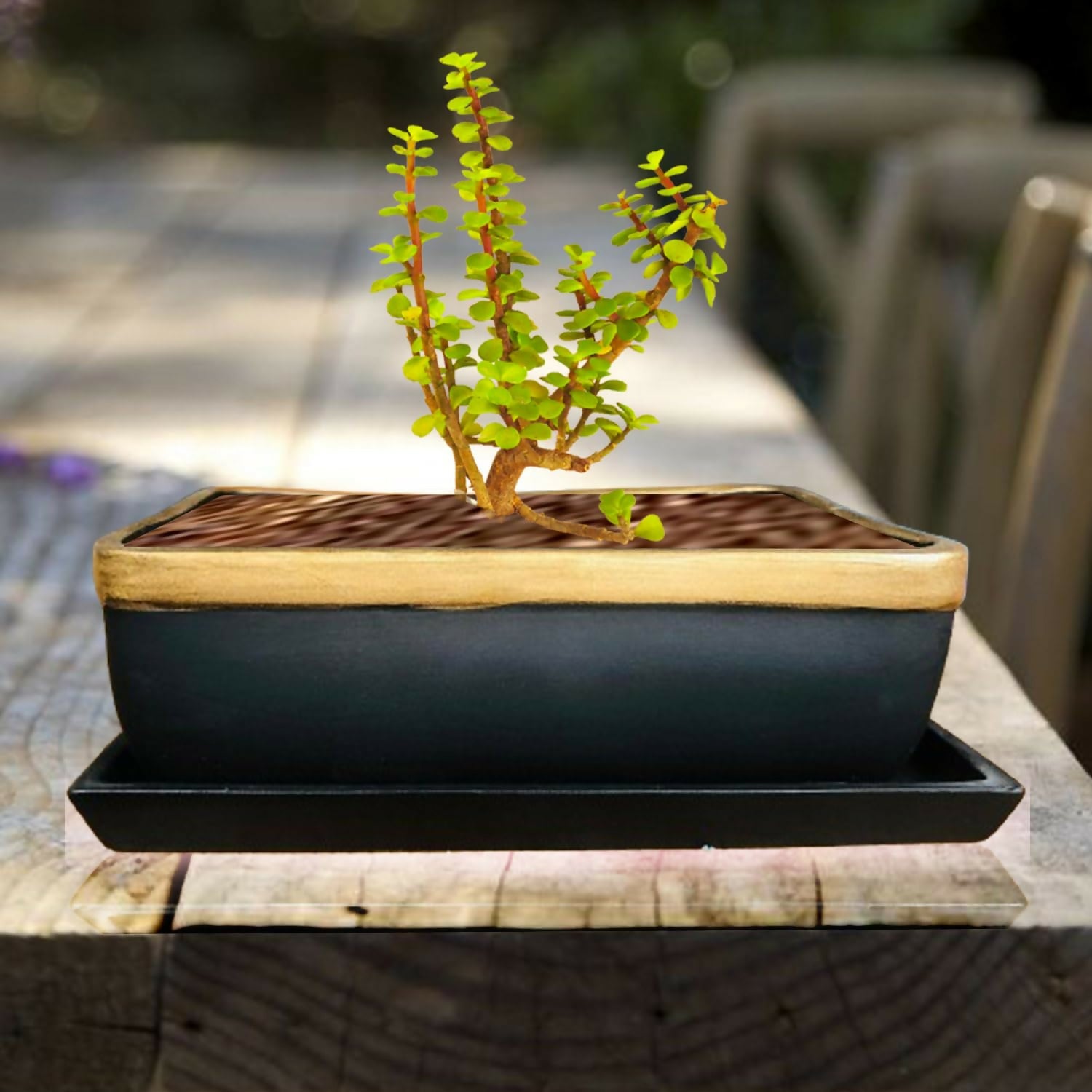 71vt-nJJhML._SL1500_