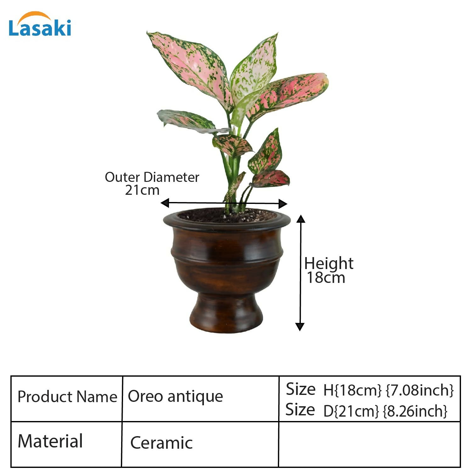 61leMbQ2IoL._SL1500_