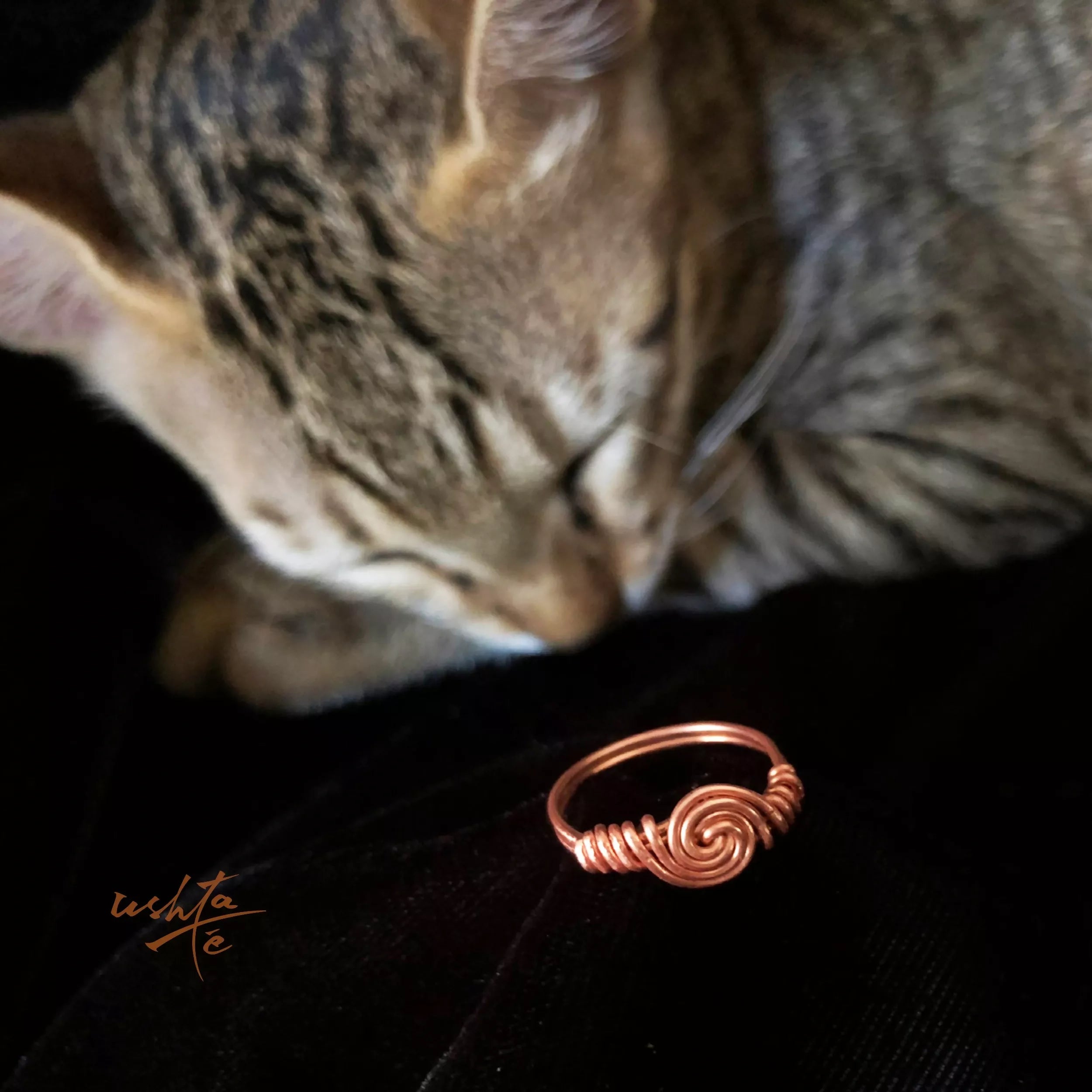 Twirling In - Ring