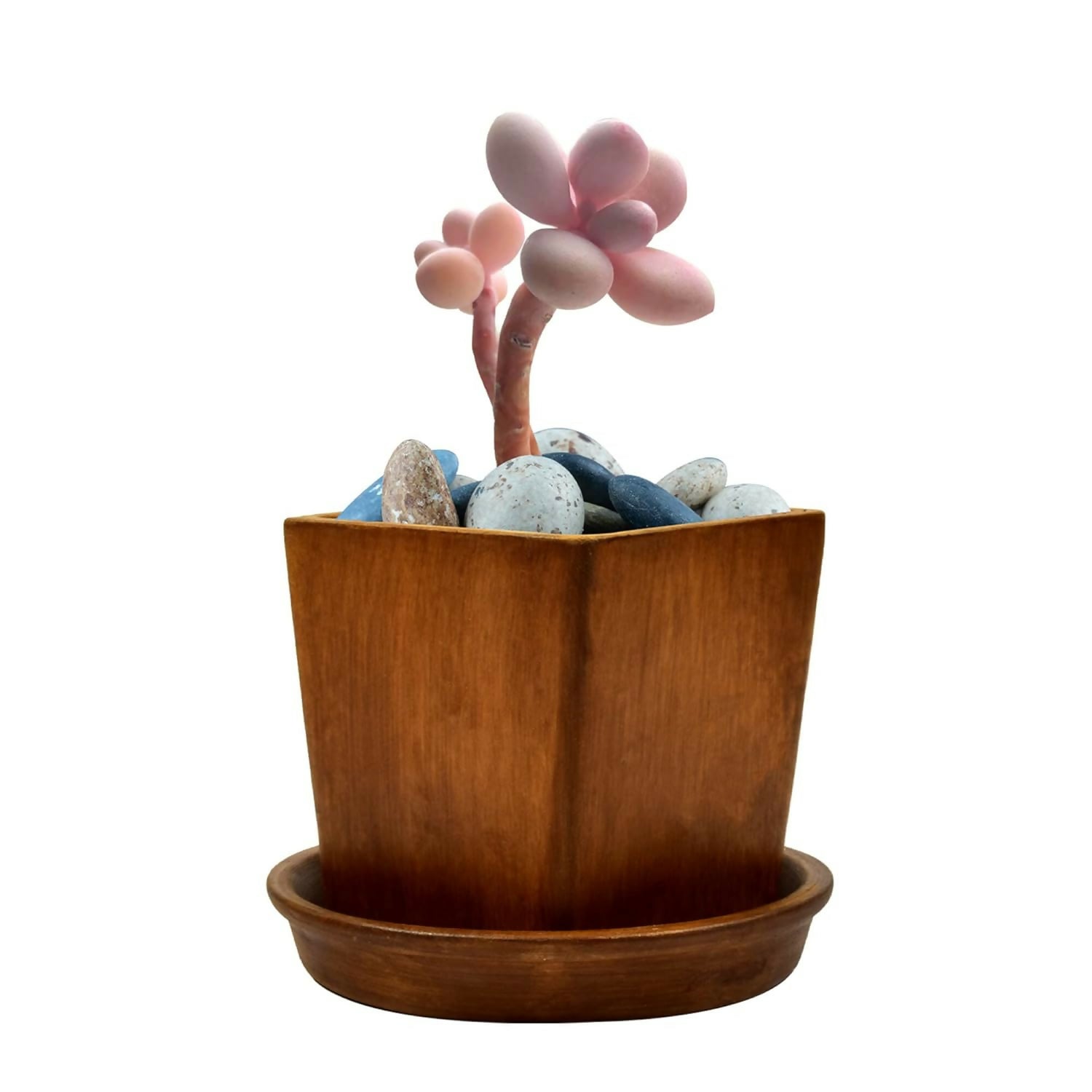 61U6eONsIgL._SL1500_