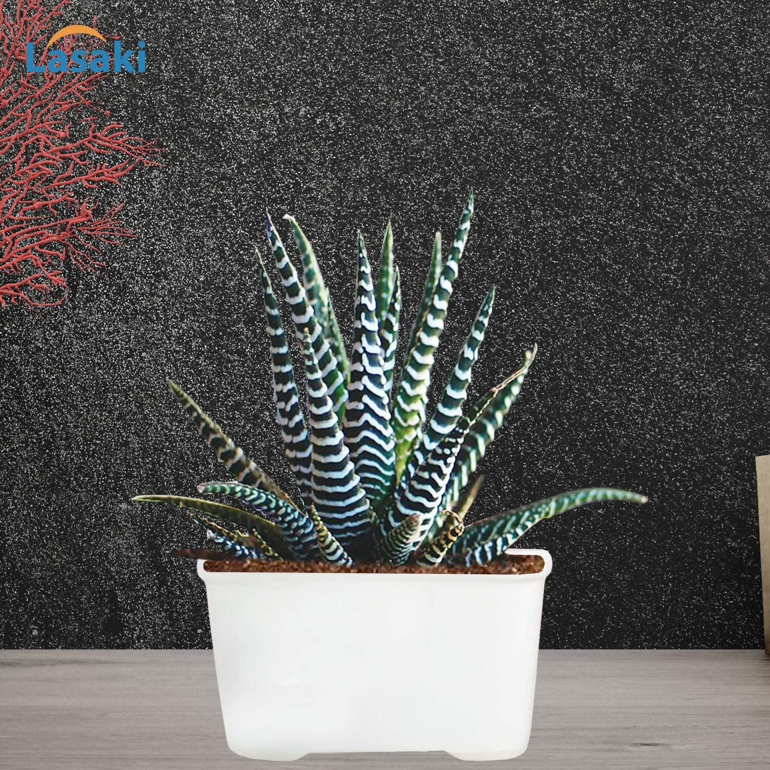 91E5eJy5WRL._SL1500_