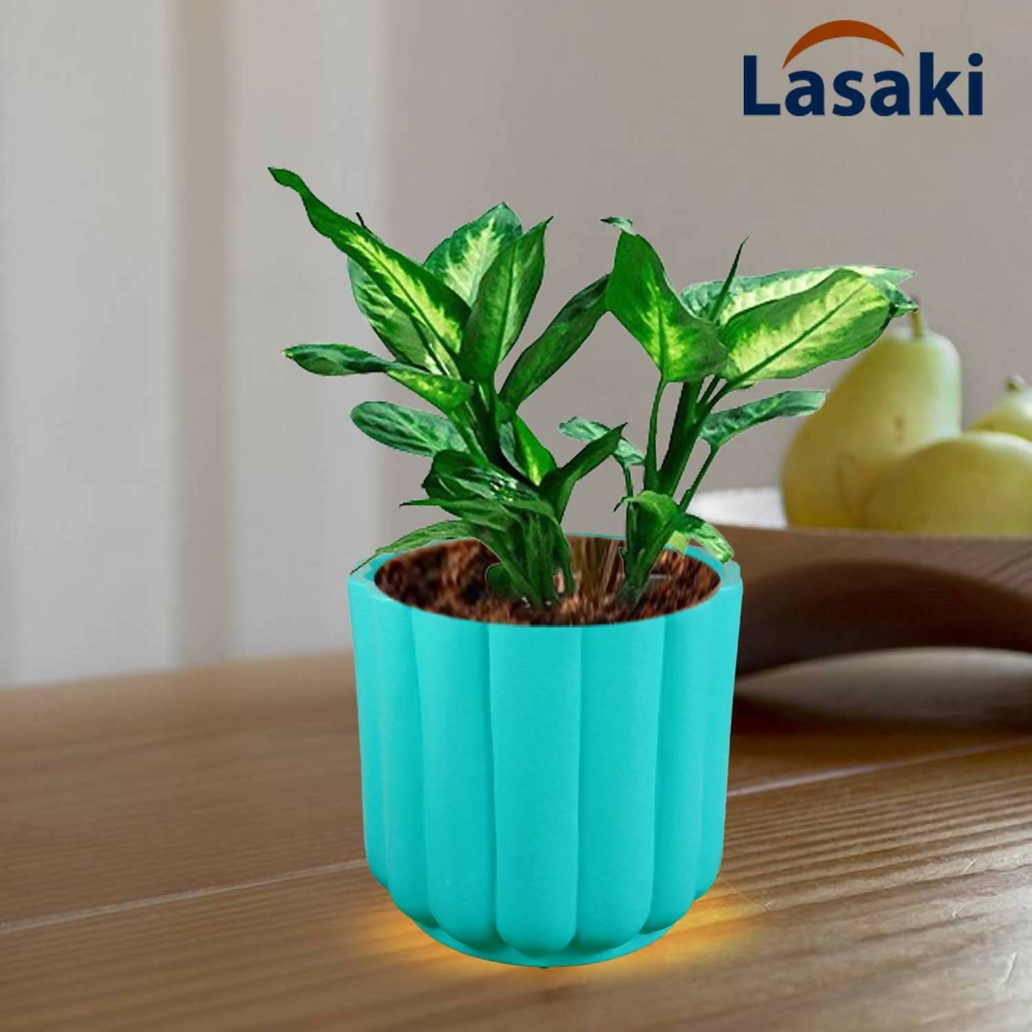 61gcbrJC73L._SL1500_