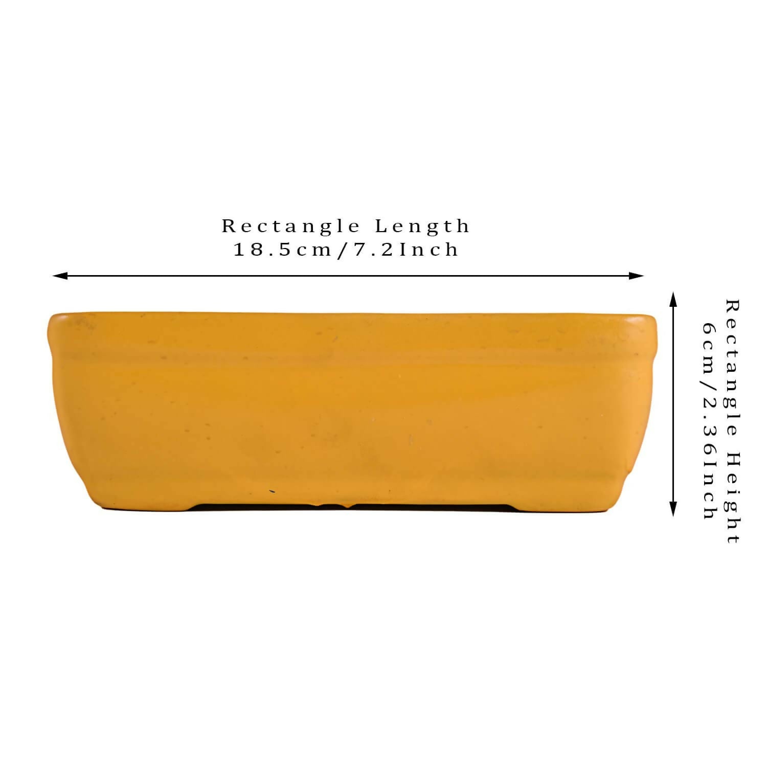 51HmuGRrHqL._SL1500_