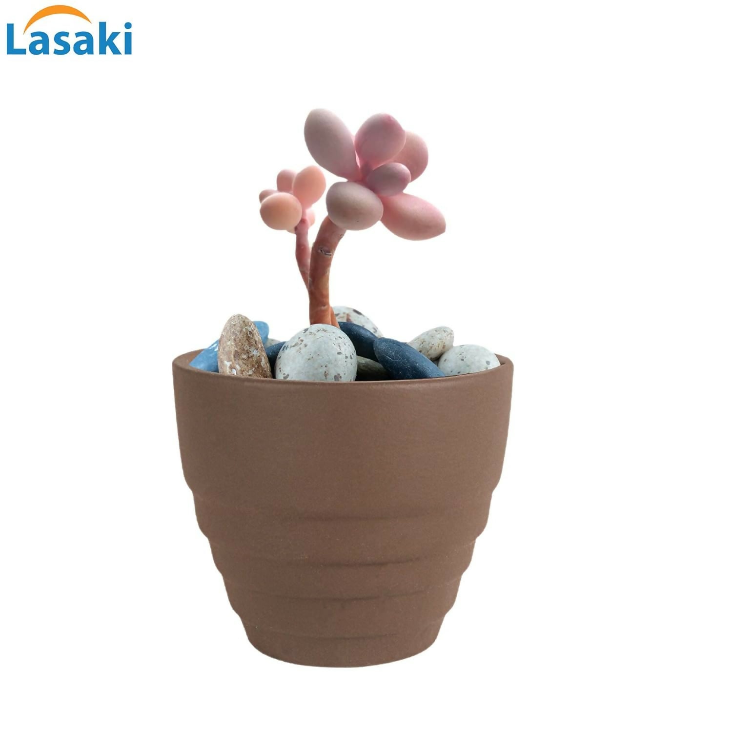 61TefwKxc-L._SL1500_