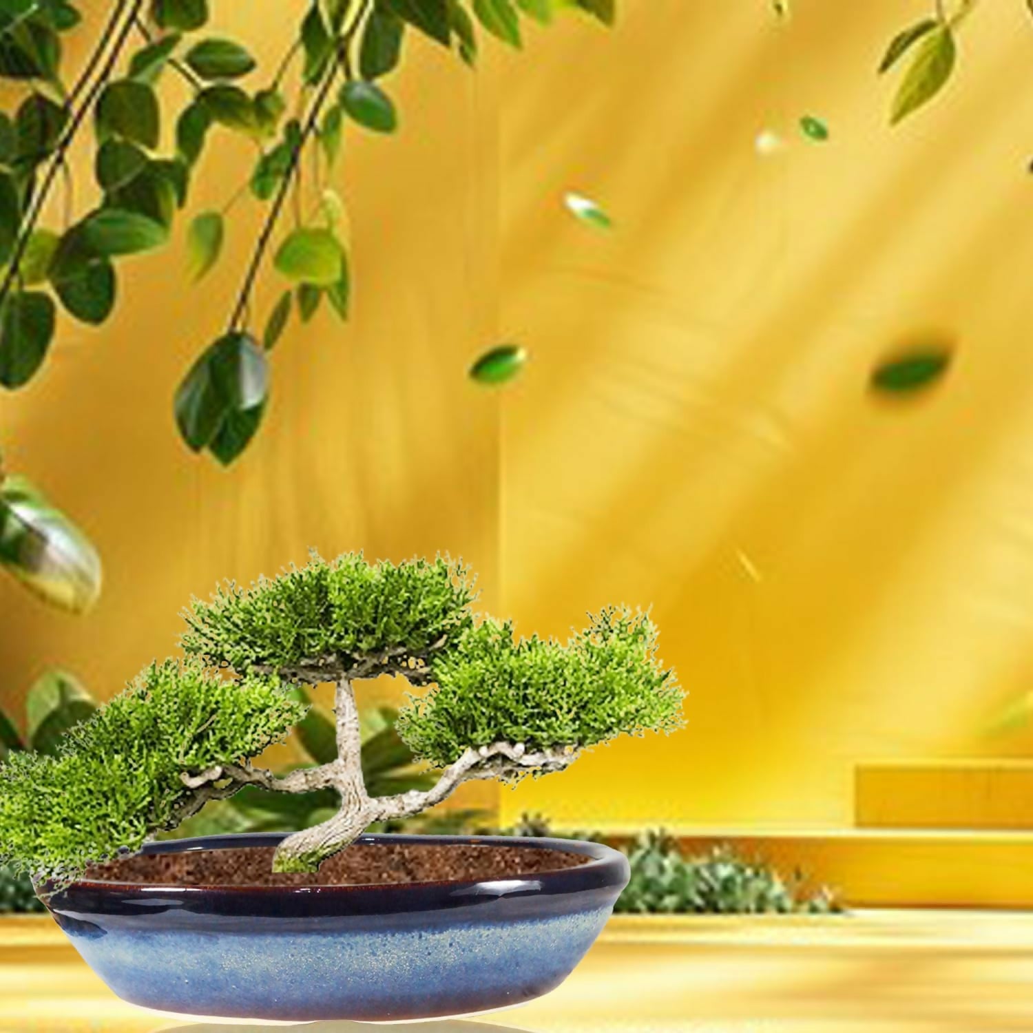 71qtBhY-GtL._SL1500_