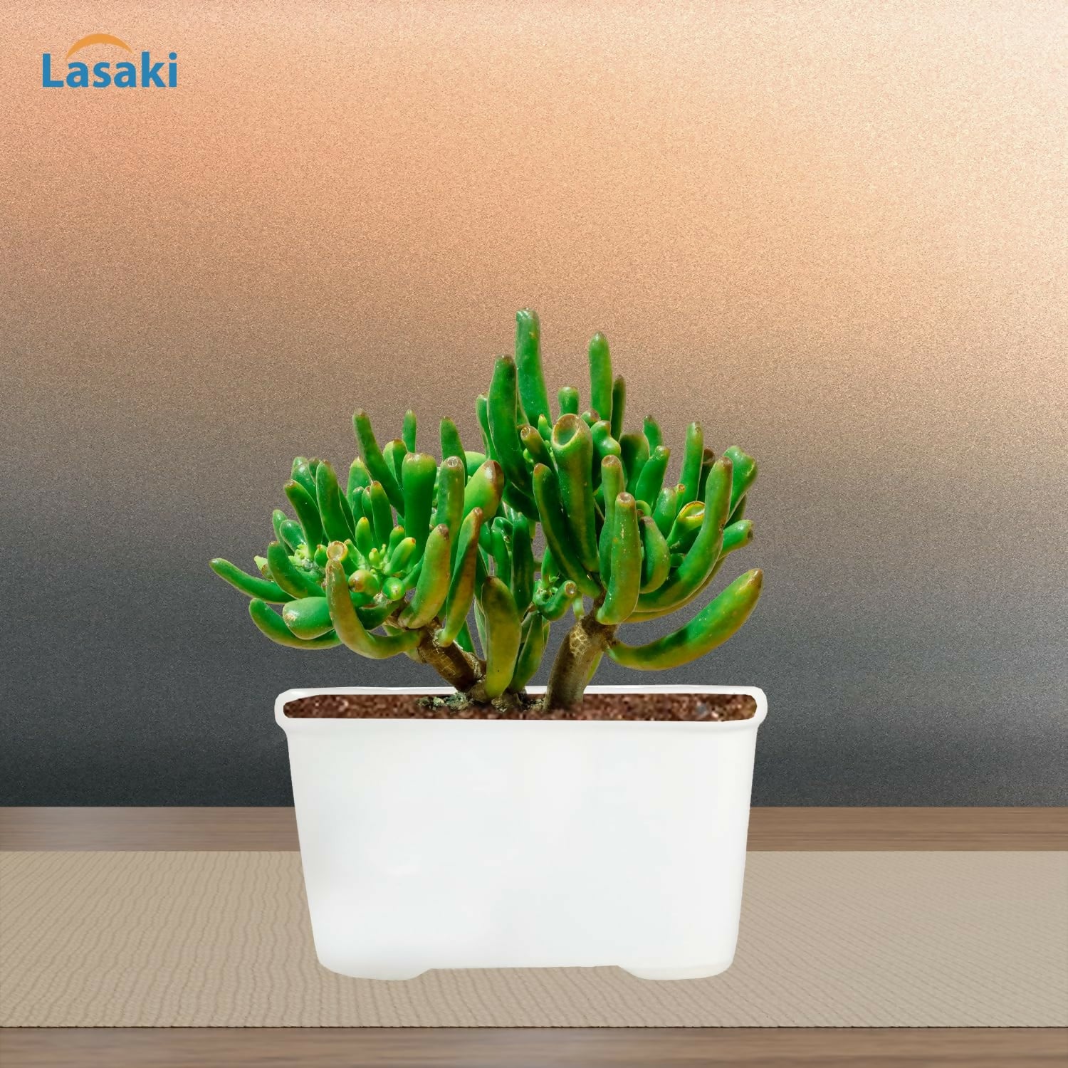 81pGdO2Gv8L._SL1500_