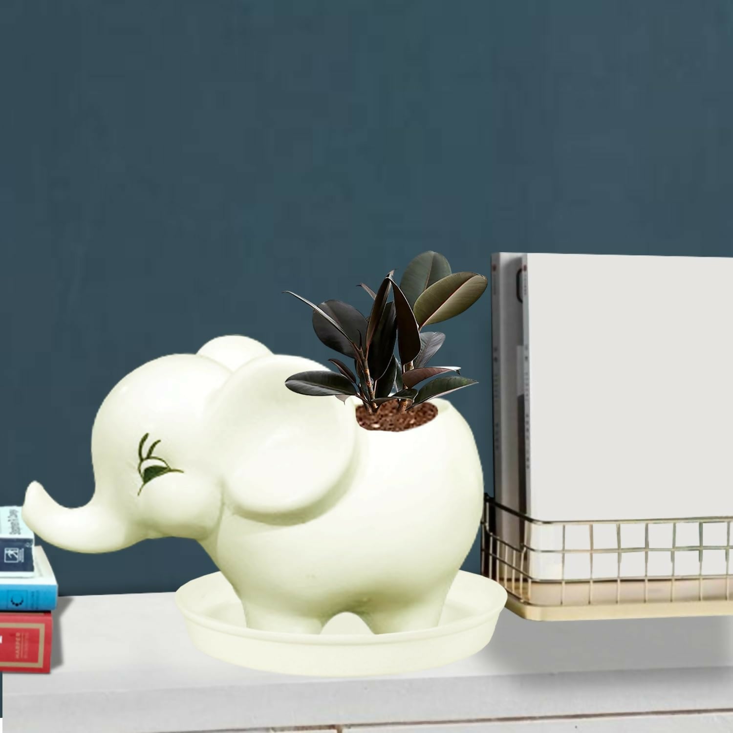 61TquM22VGL._SL1500_