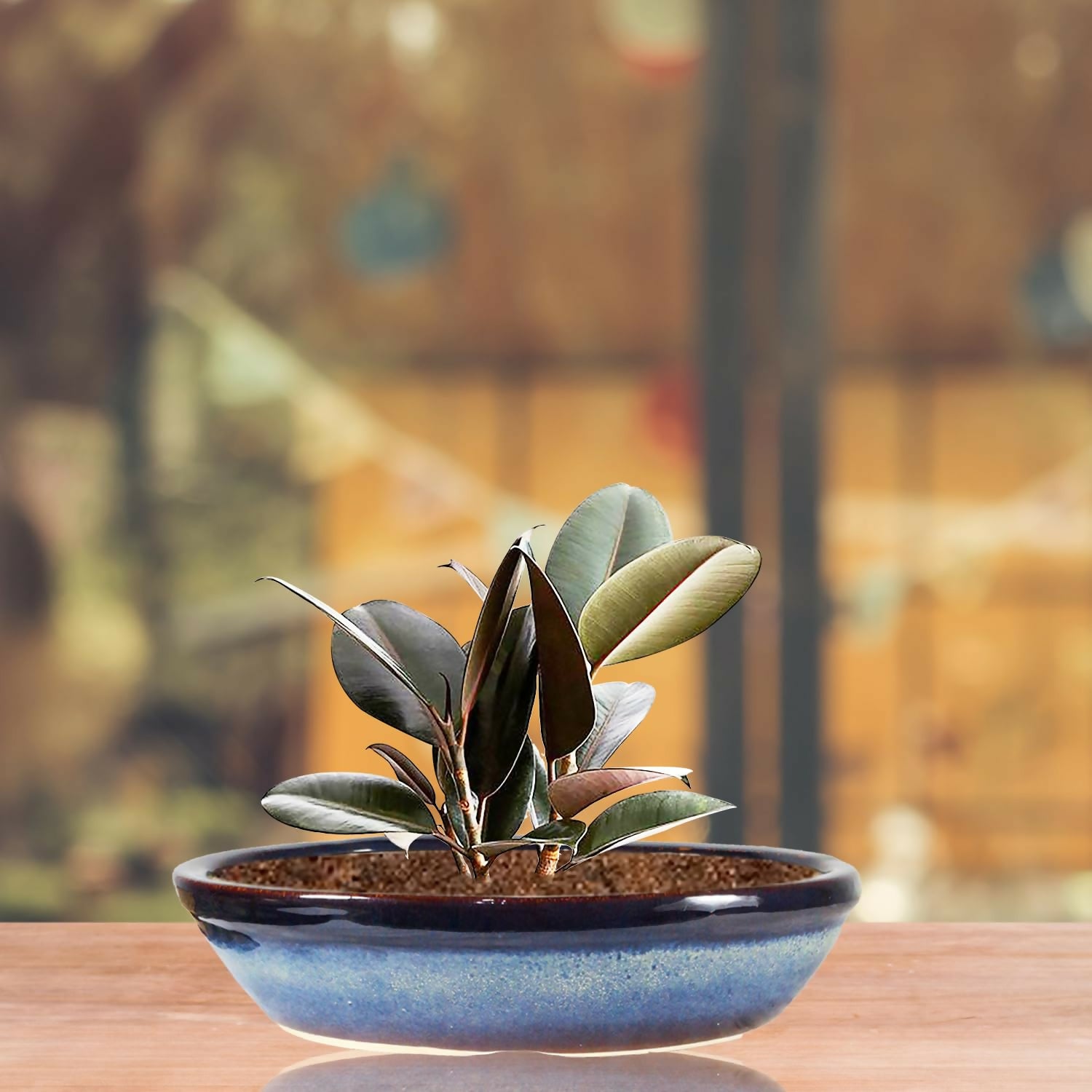 71HK9Mk3D0L._SL1500_