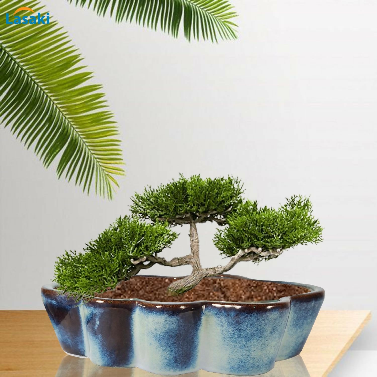 71kJKkSbNvL._SL1500_