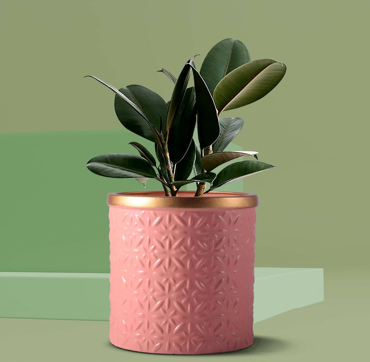 71TG4toyAeL._SL1500_