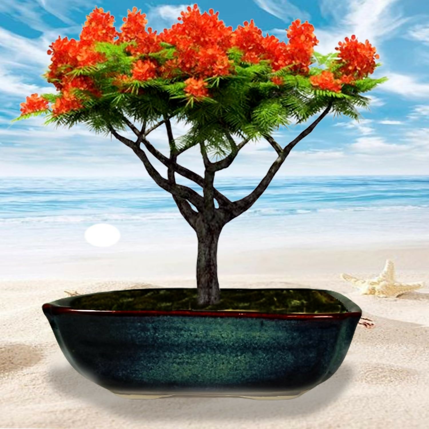 71mFGMLlT1L._SL1500_