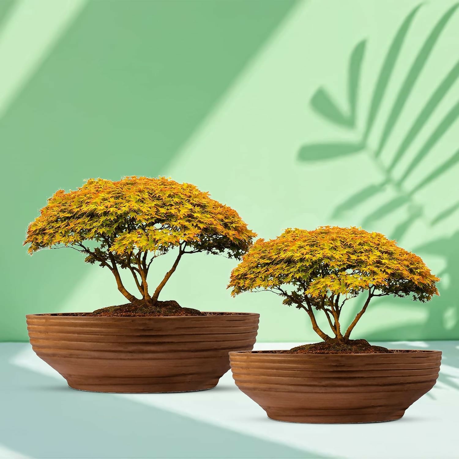 81dzaOGjLfL._SL1500_