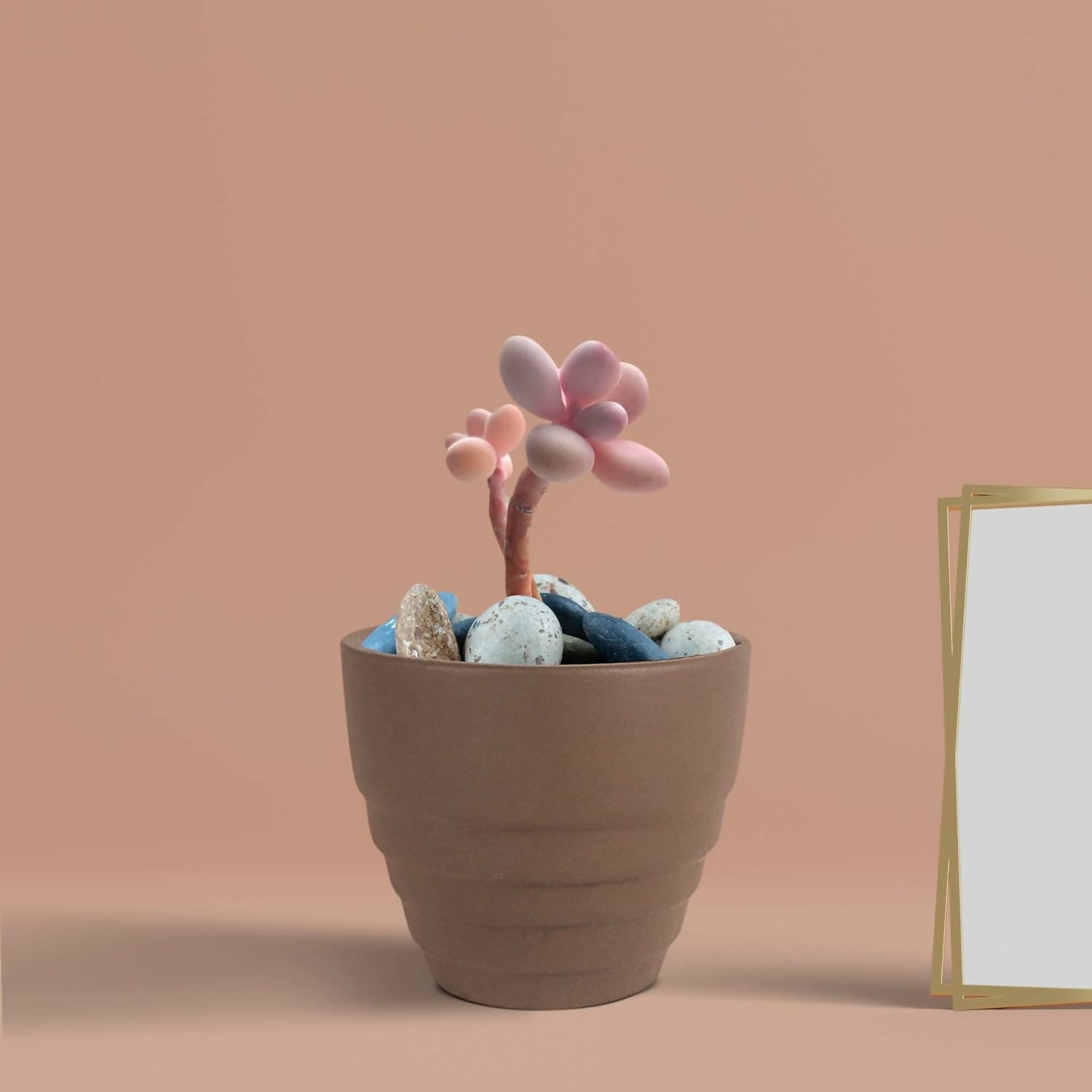 51r2ad8txFL._SL1500_