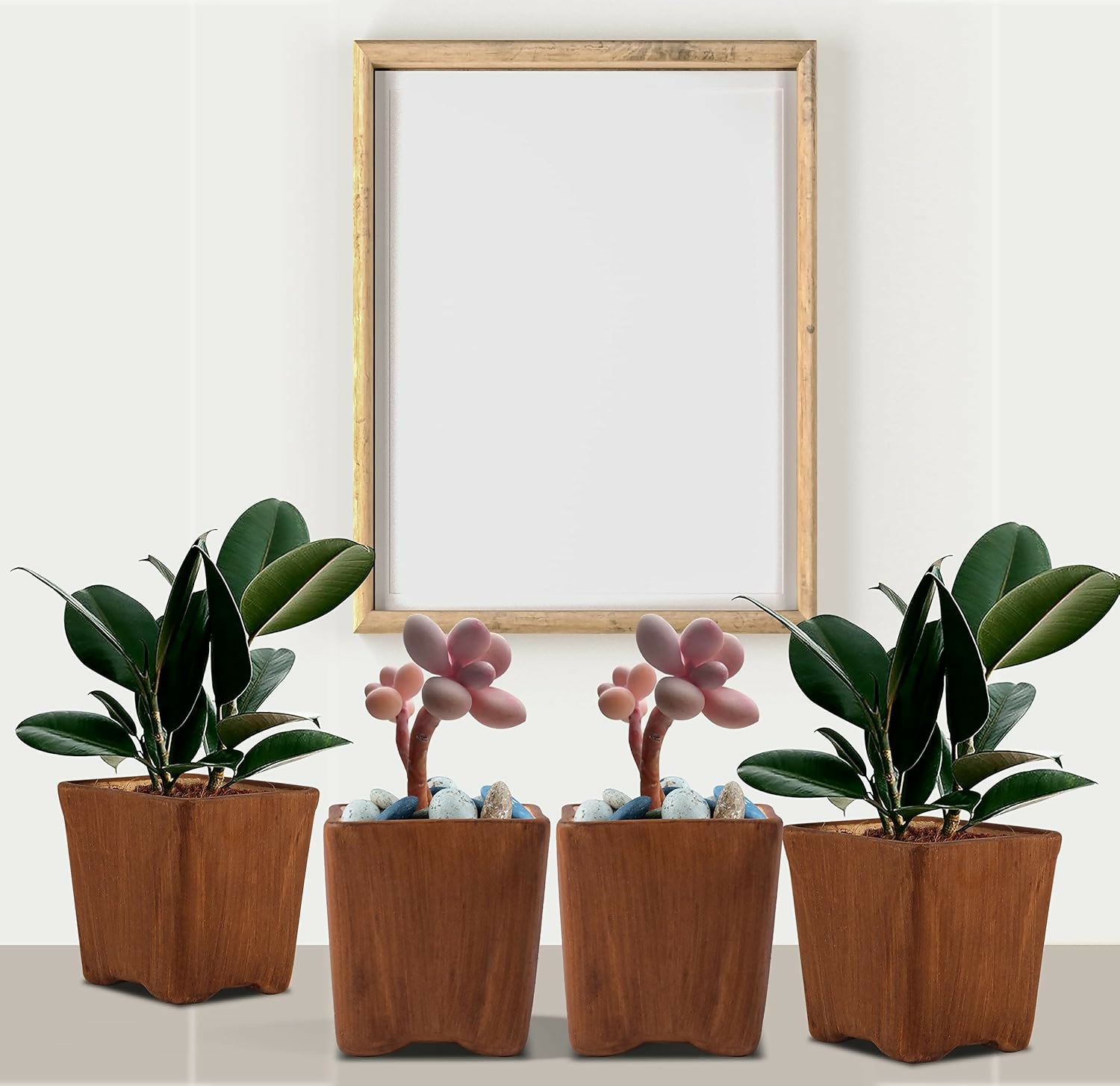 81ntBCpnomL._SL1500_