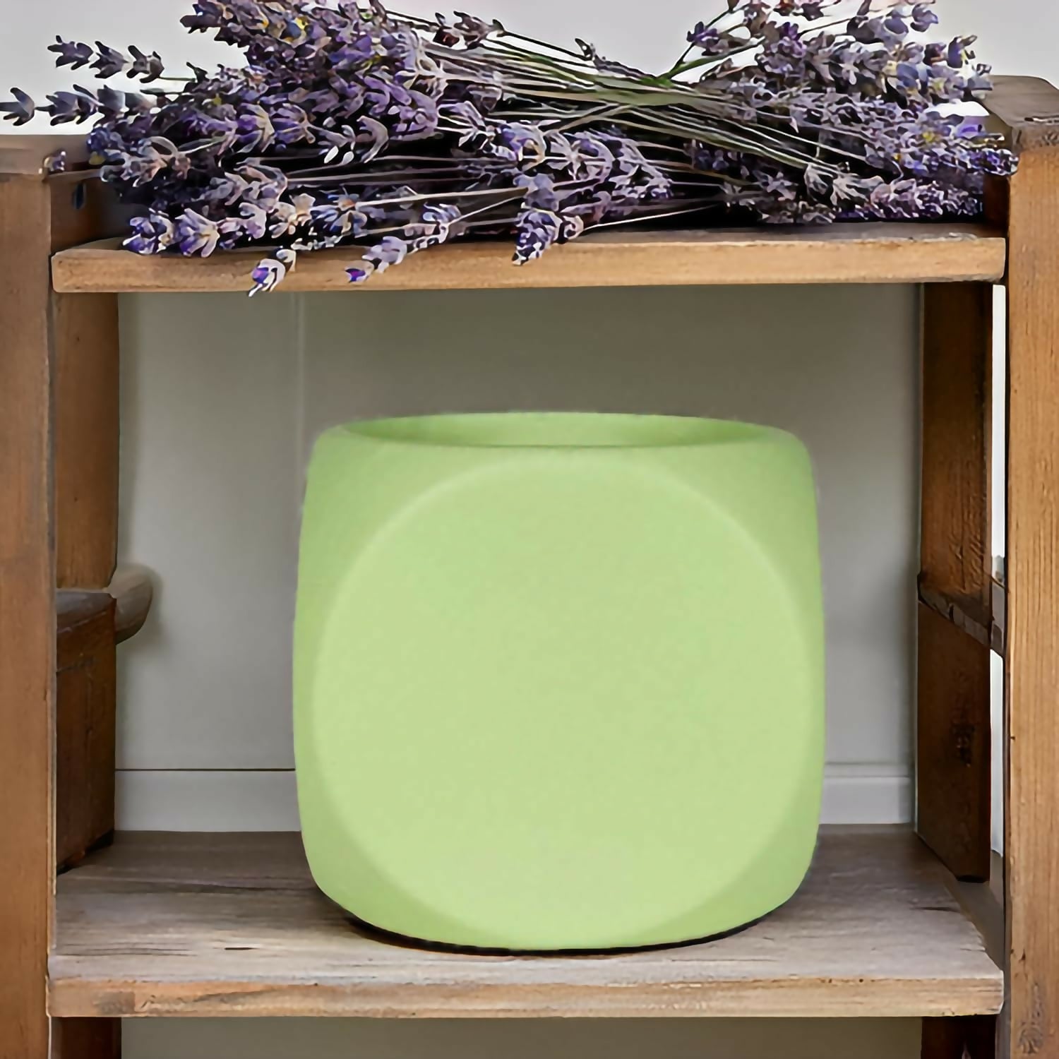 71CGrO-wnYL._SL1500_