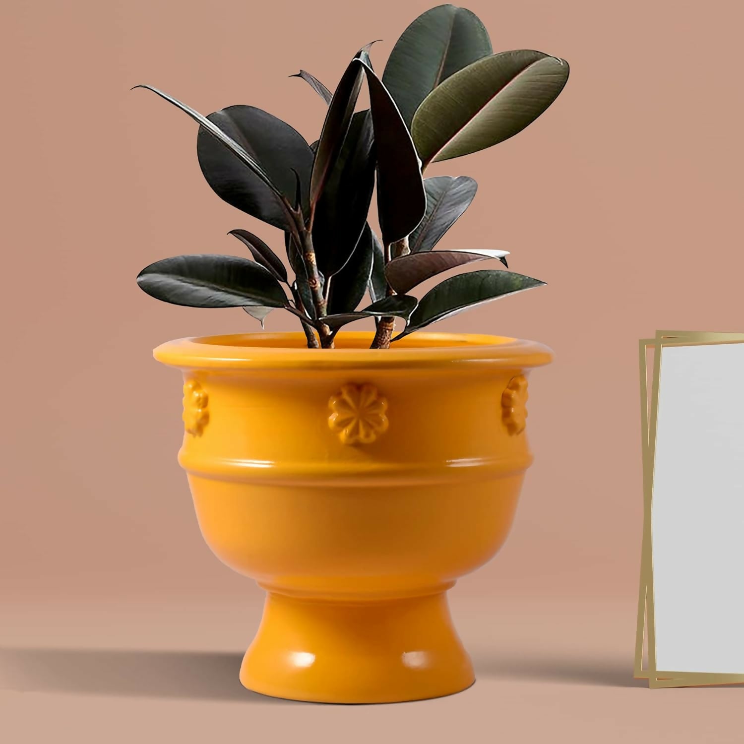 61KIgRWtYdL._SL1500_