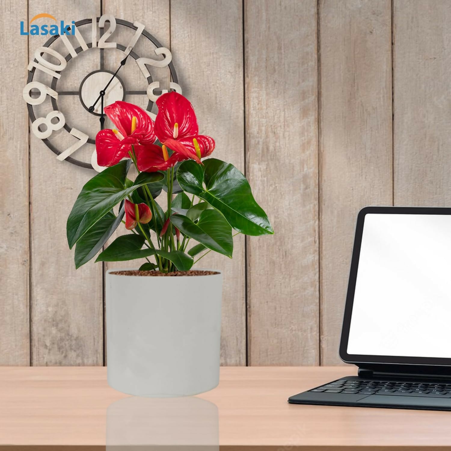 71qyDn3RIGL._SL1500_