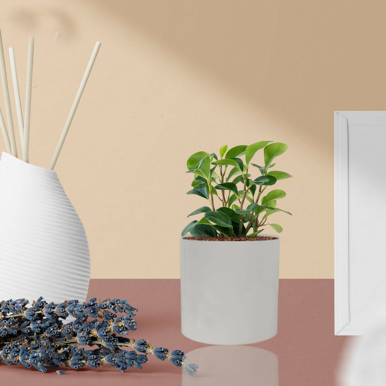 7135EtsyUgL._SL1500_