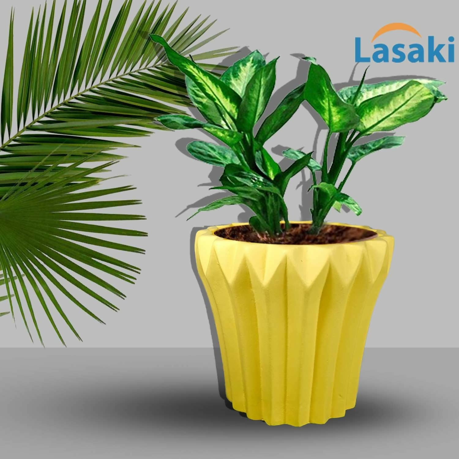 71Y8n62eh4L._SL1500_