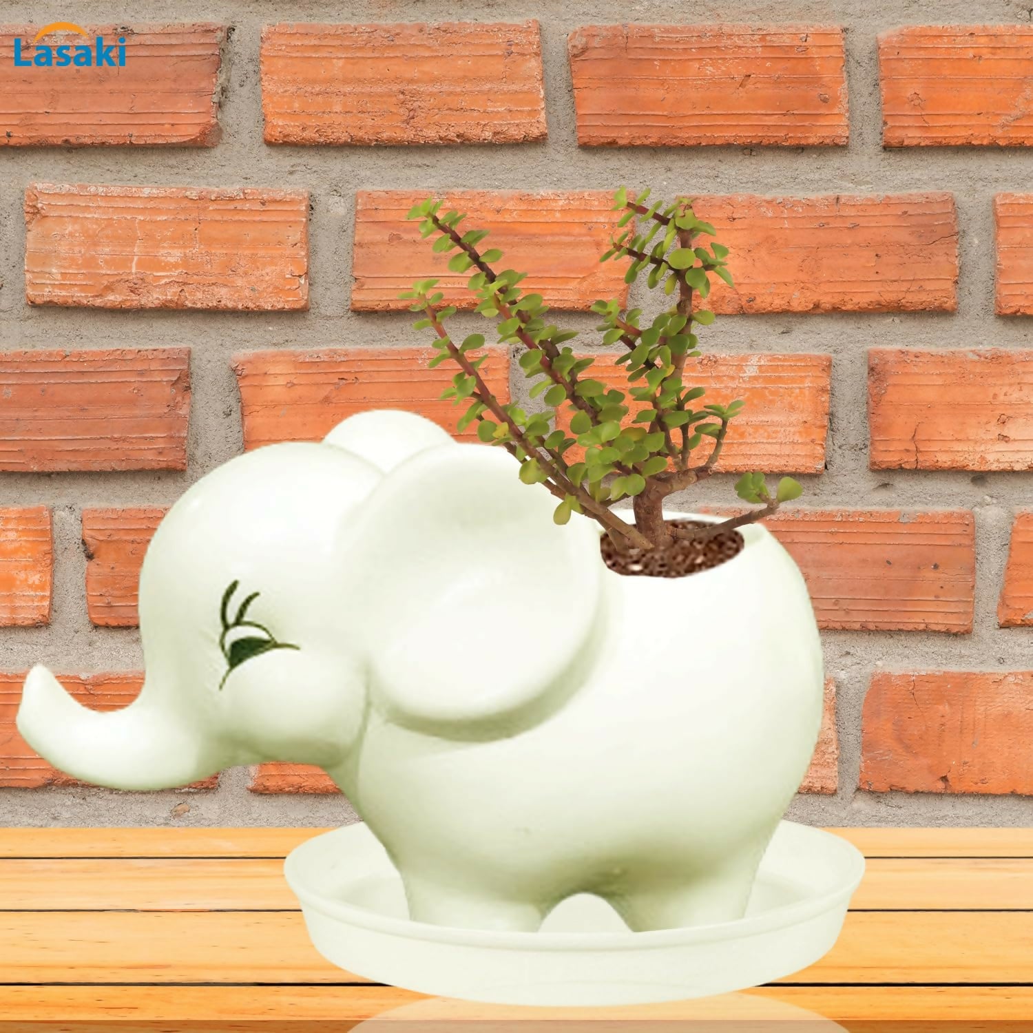 81B+4kYE8SL._SL1500_