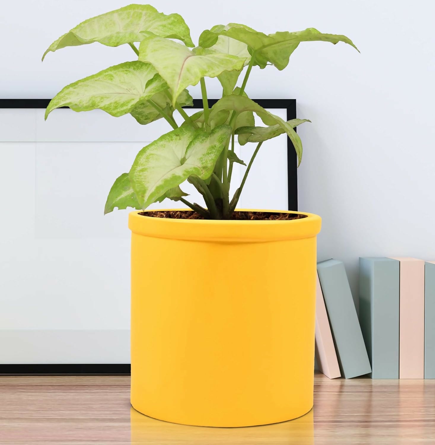 71Up9Eqx4ZL._SL1500_