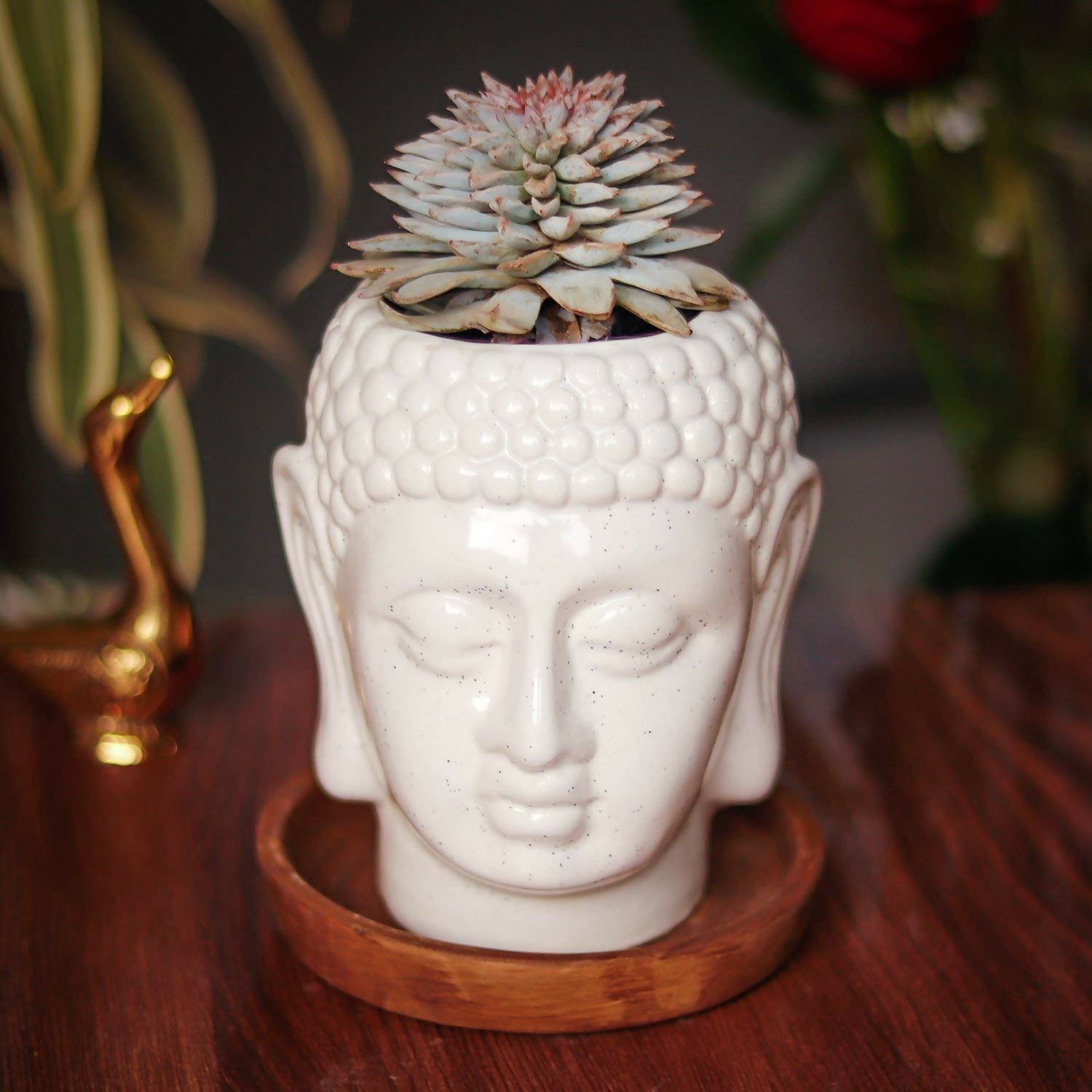 719pCuwiQvL._SL1500_