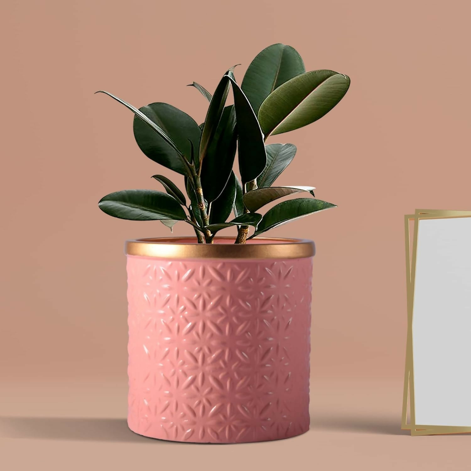 61+wneGOCrL._SL1500_