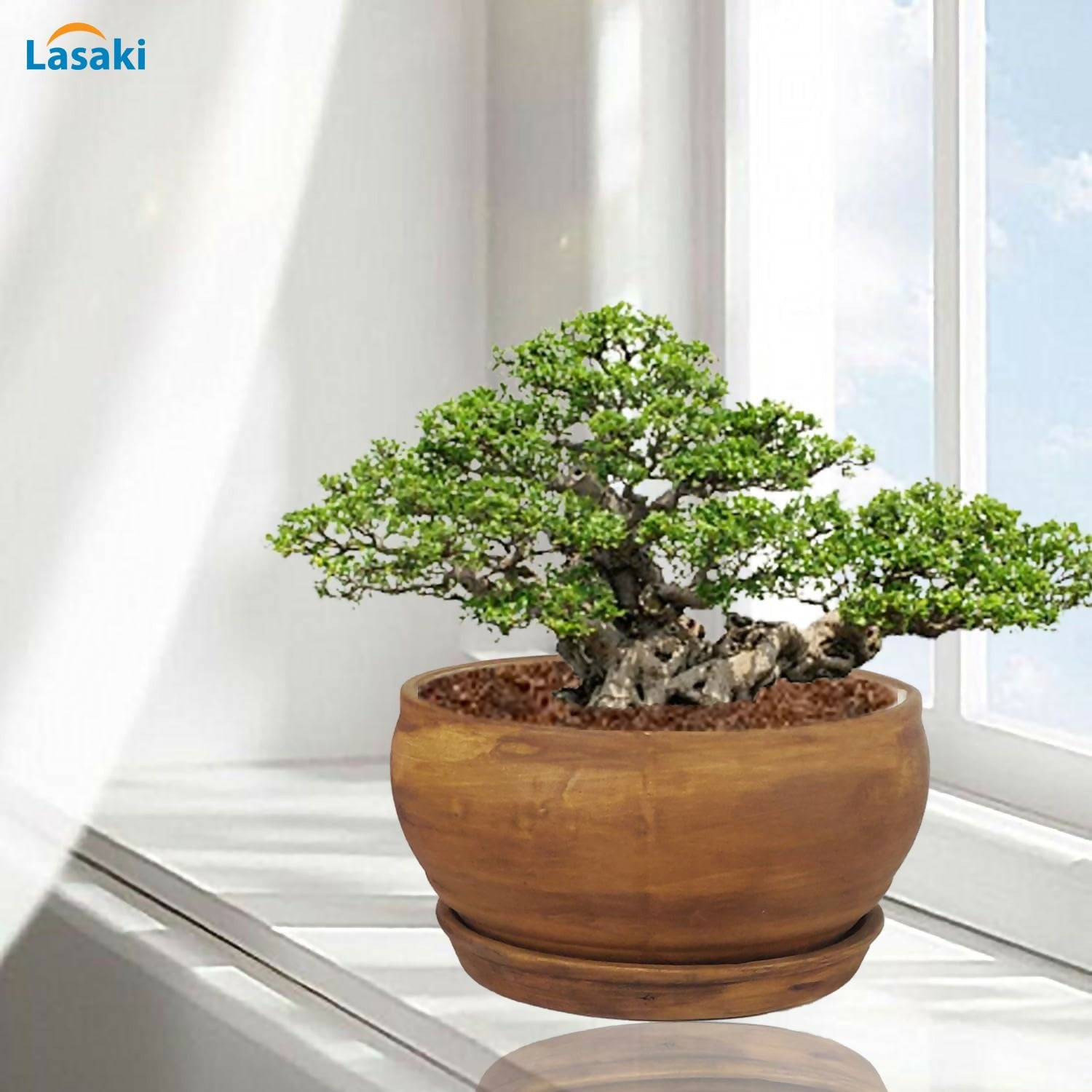 71bjMITS3GL._SL1500_