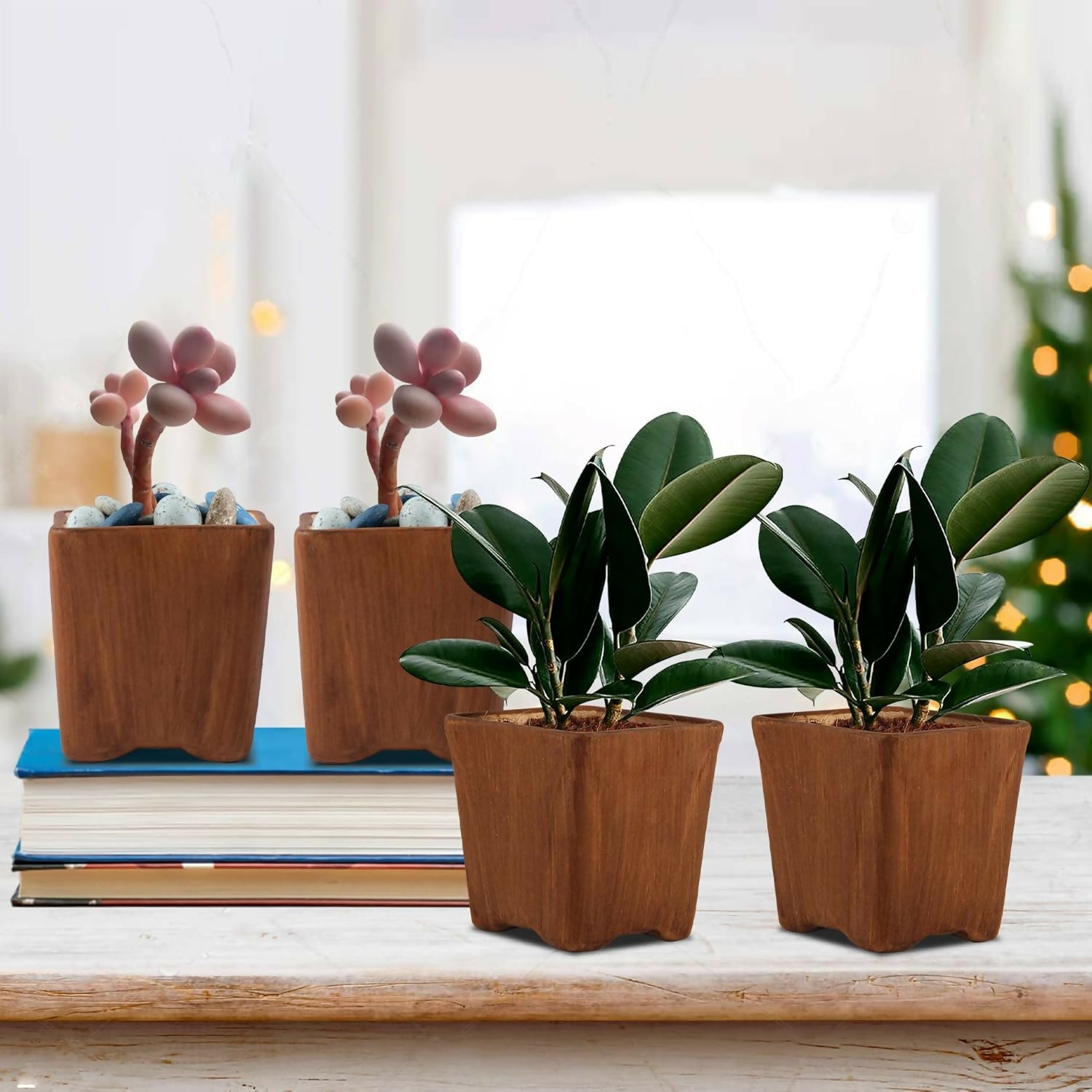 71lv0qXPwGL._SL1500_