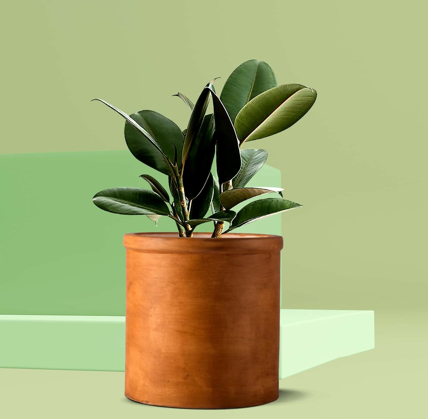 71eajAaiSYL._SL1500_