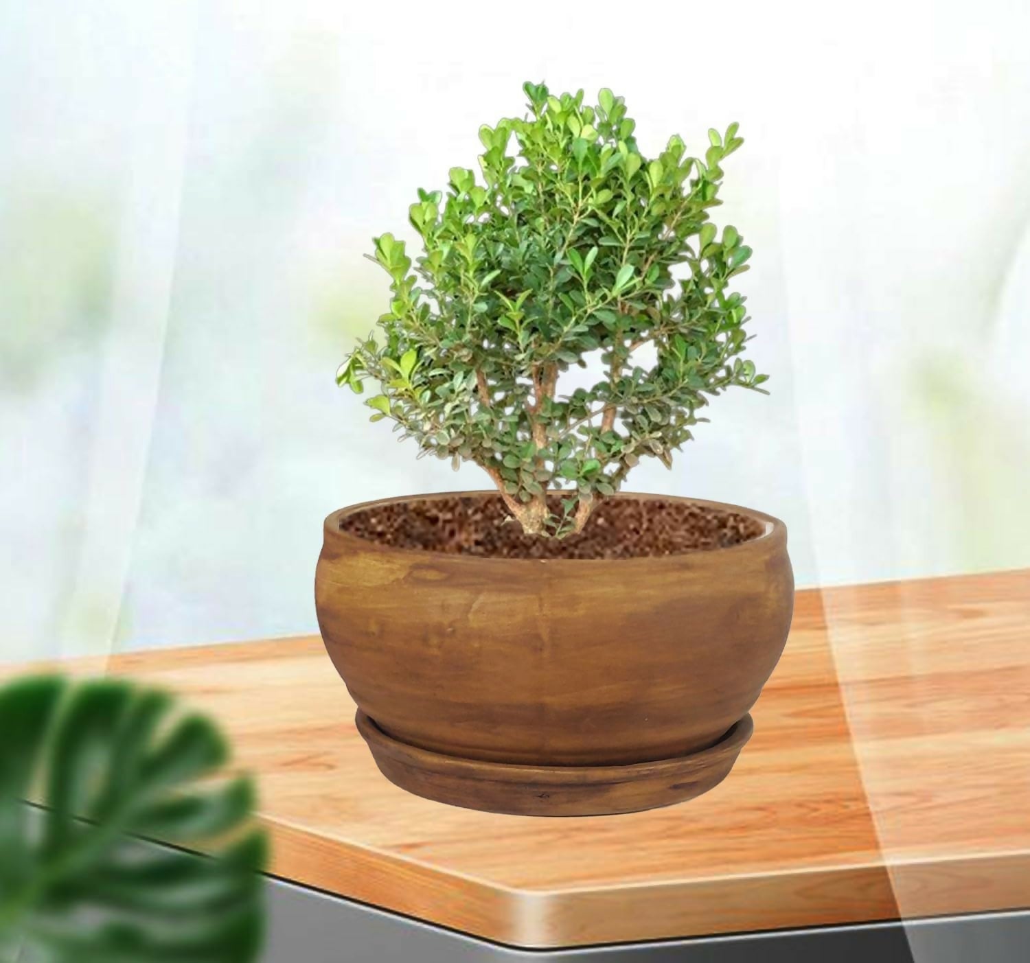 719SVD8+pRL._SL1500_