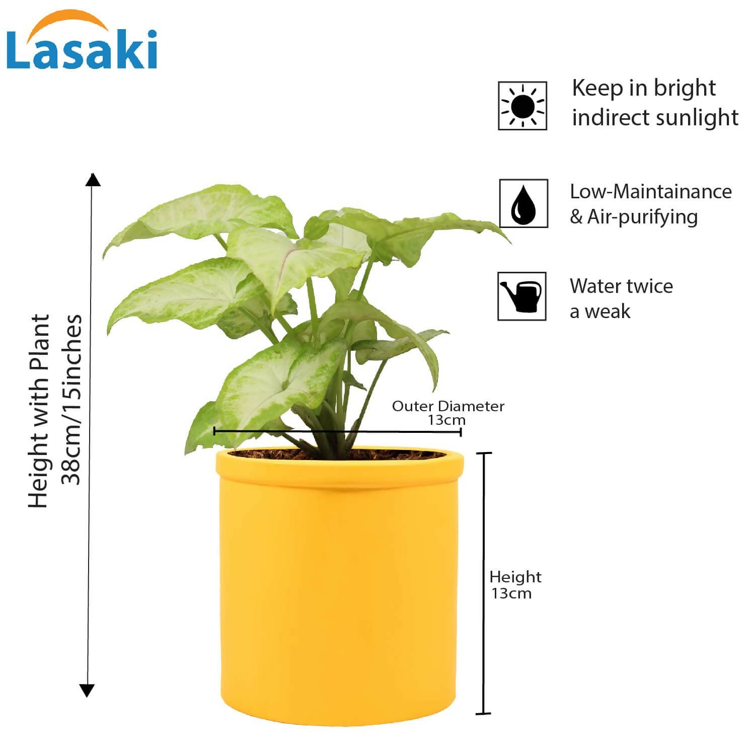 61ubXYlnwHL._SL1500_