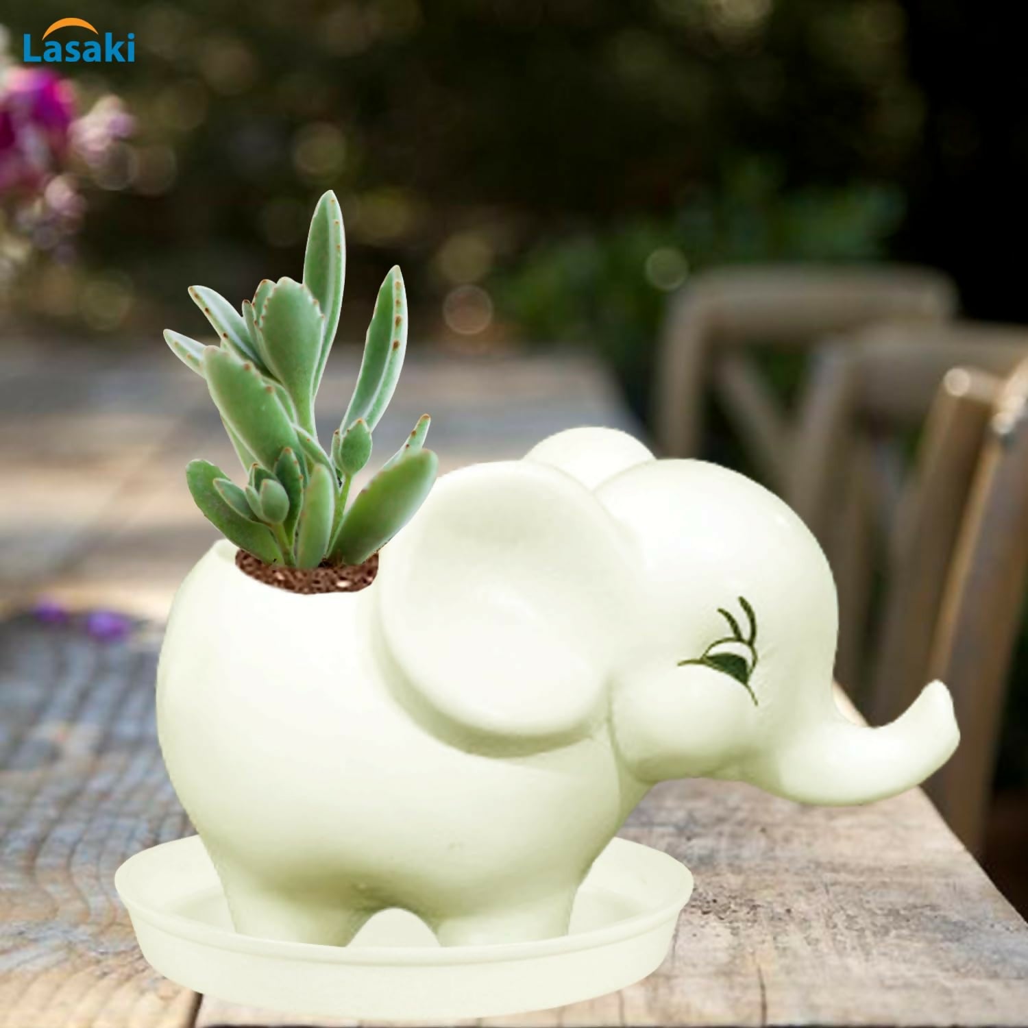 61HTzU61c+L._SL1500_