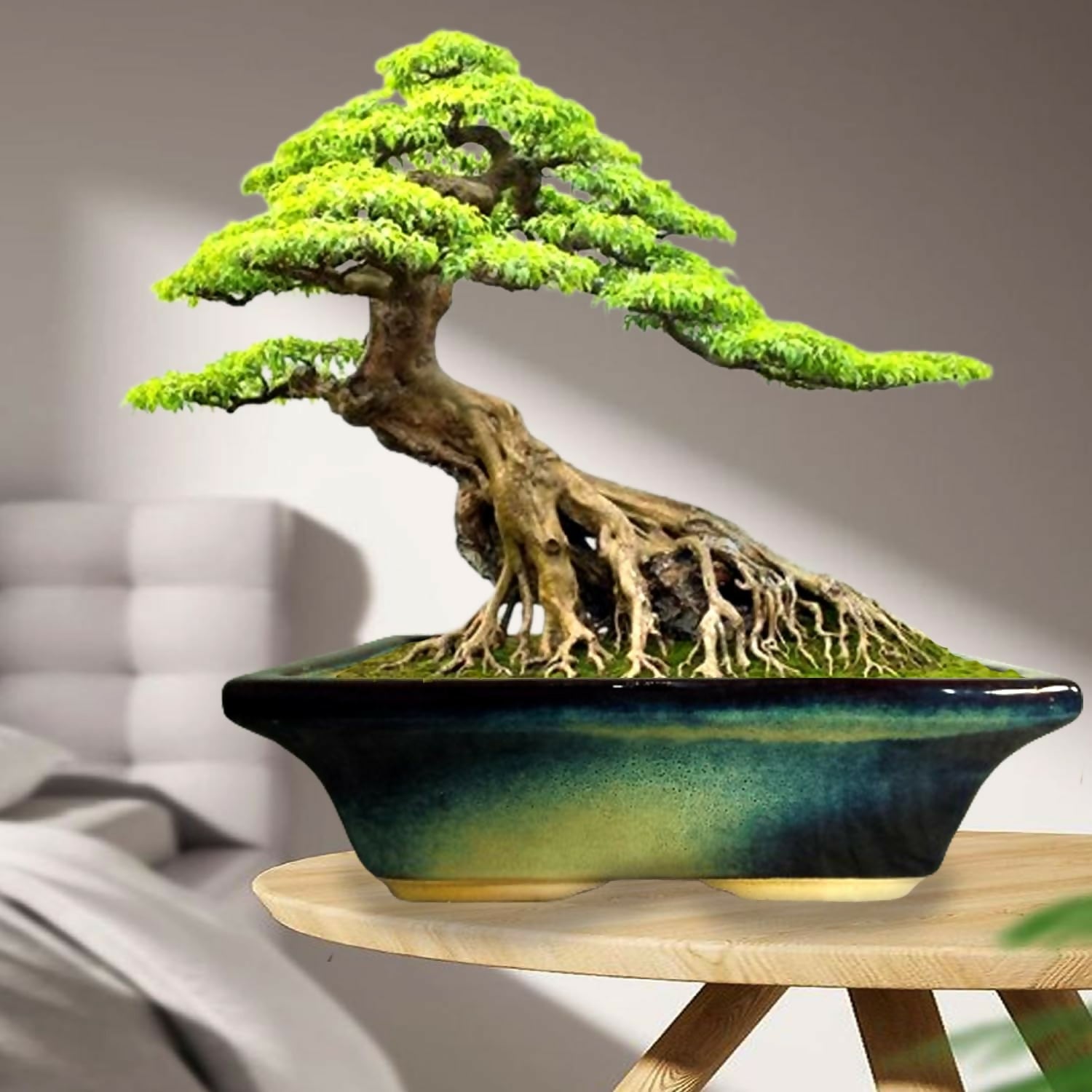 714DFINNyVL._SL1500_