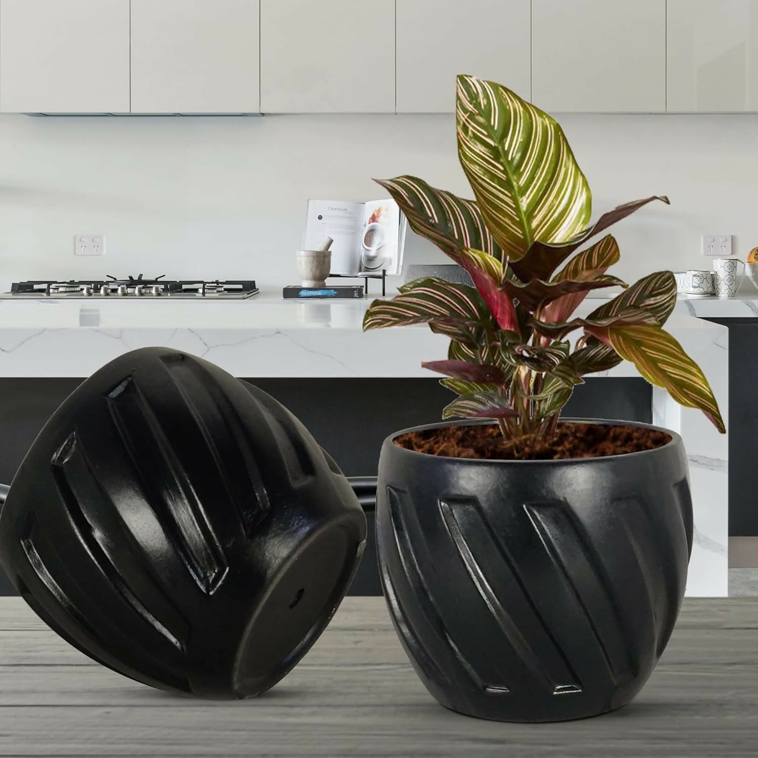 71f-xQyv36L._SL1500_