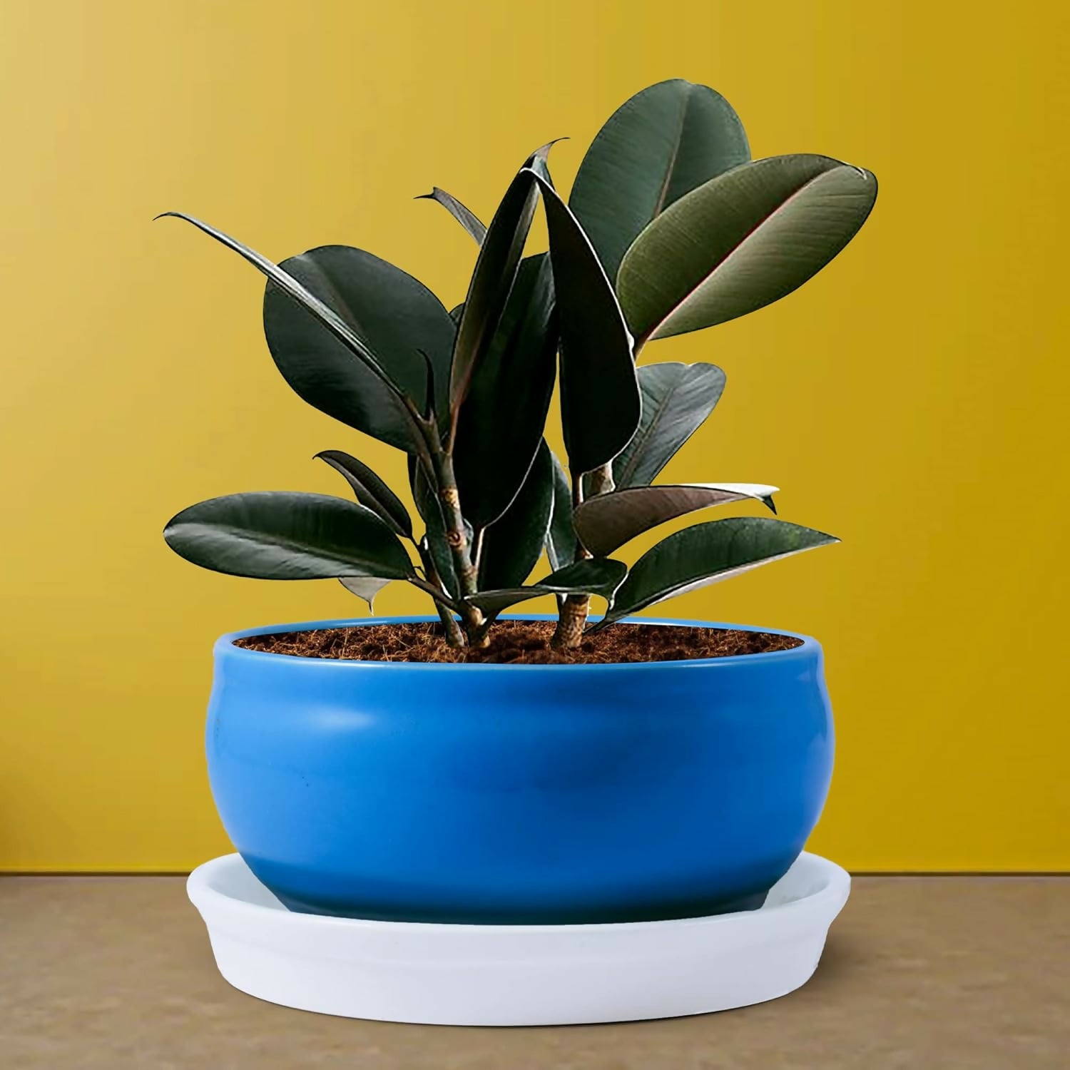 84f67c2f-6138-439b-8527-efa2f27baac1