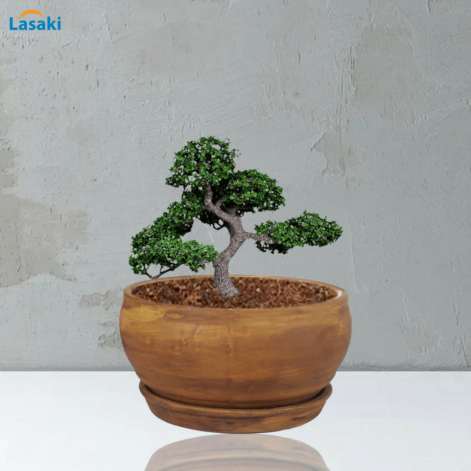 71zsXxffBlL._SL1500_