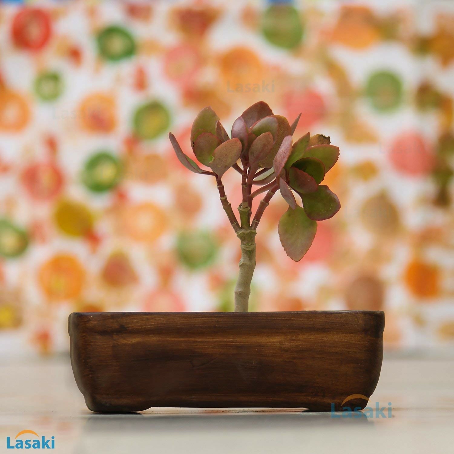 71c6Nj9CRIL._SL1500_