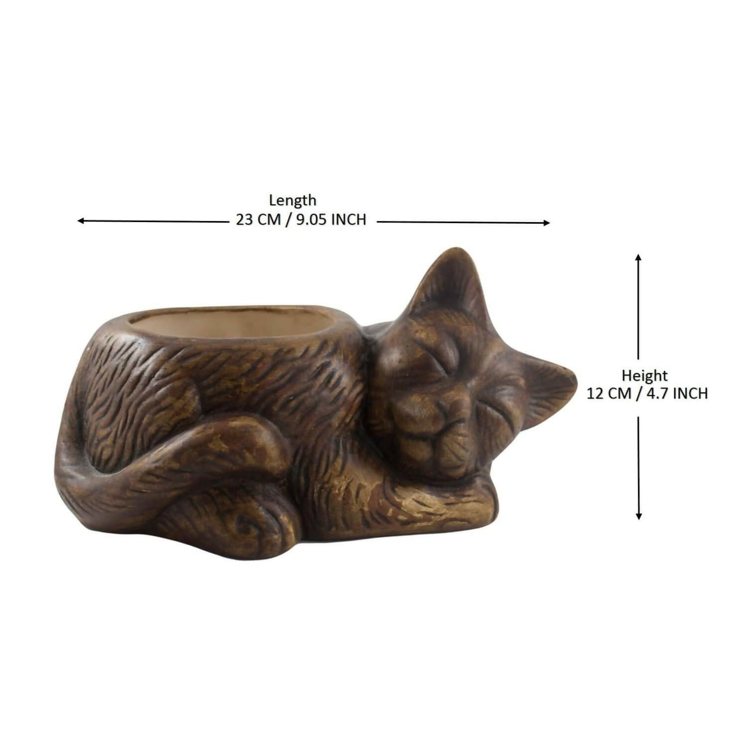 617Xtc9oIbL._SL1500_