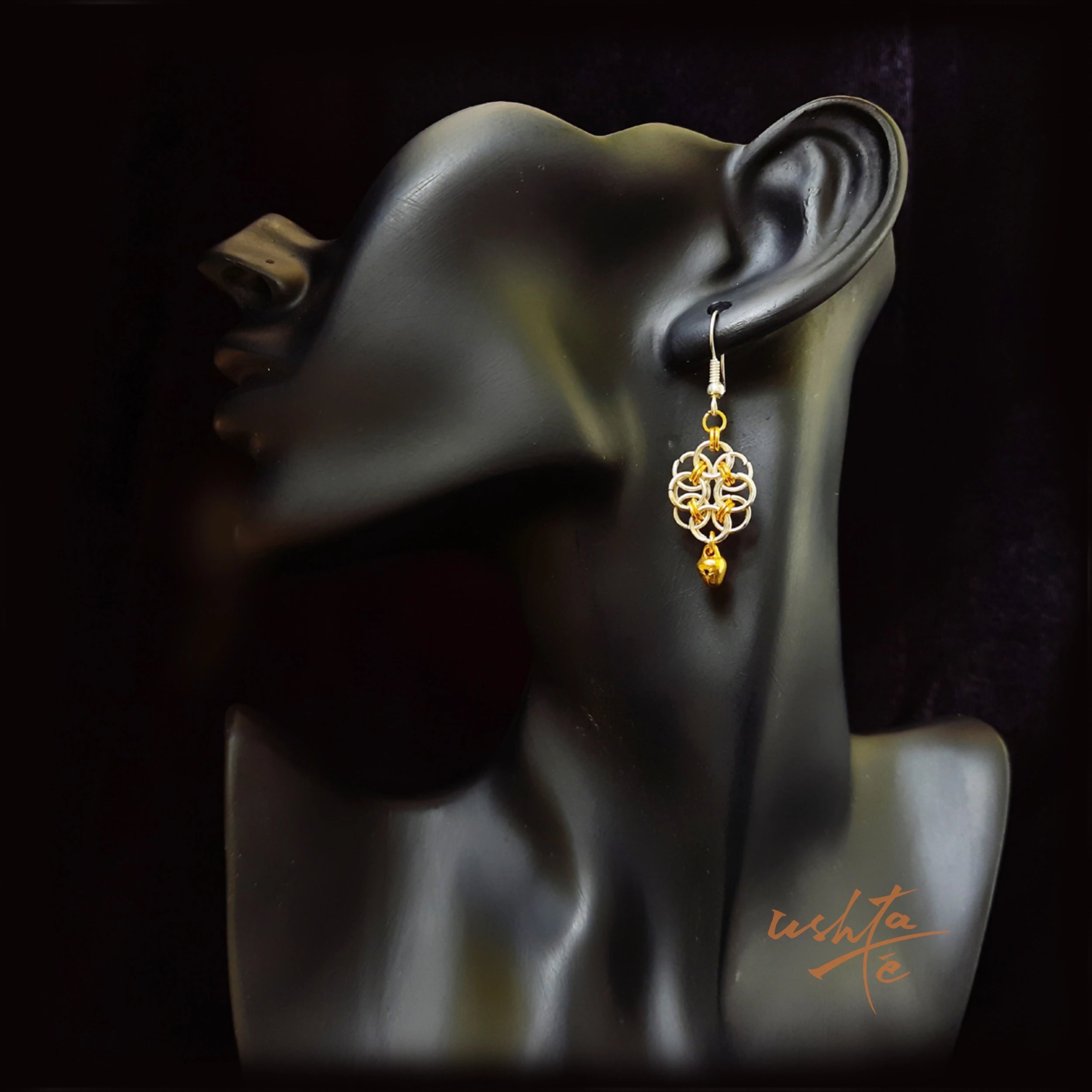Ring around the Roses - Necklace and Earring