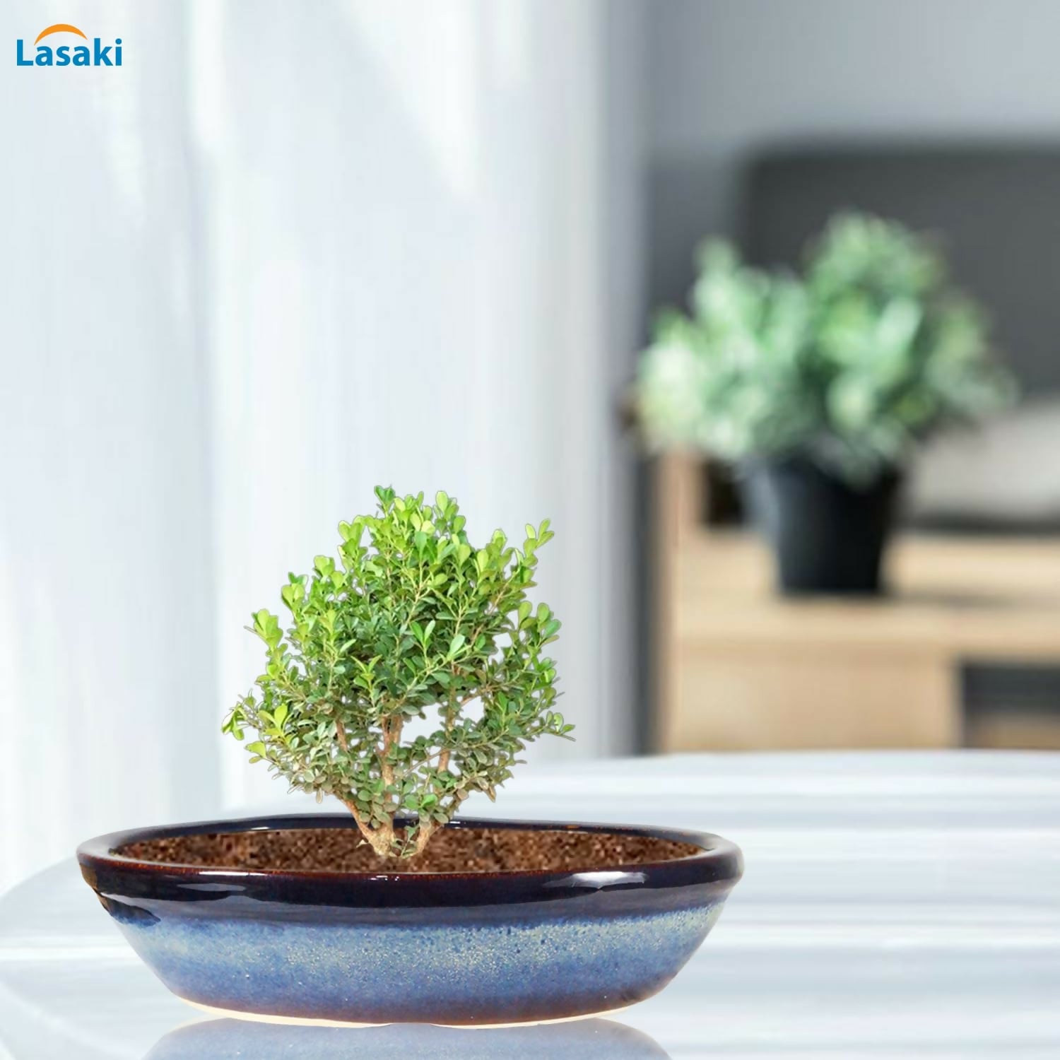 71mGHtEARsL._SL1500_