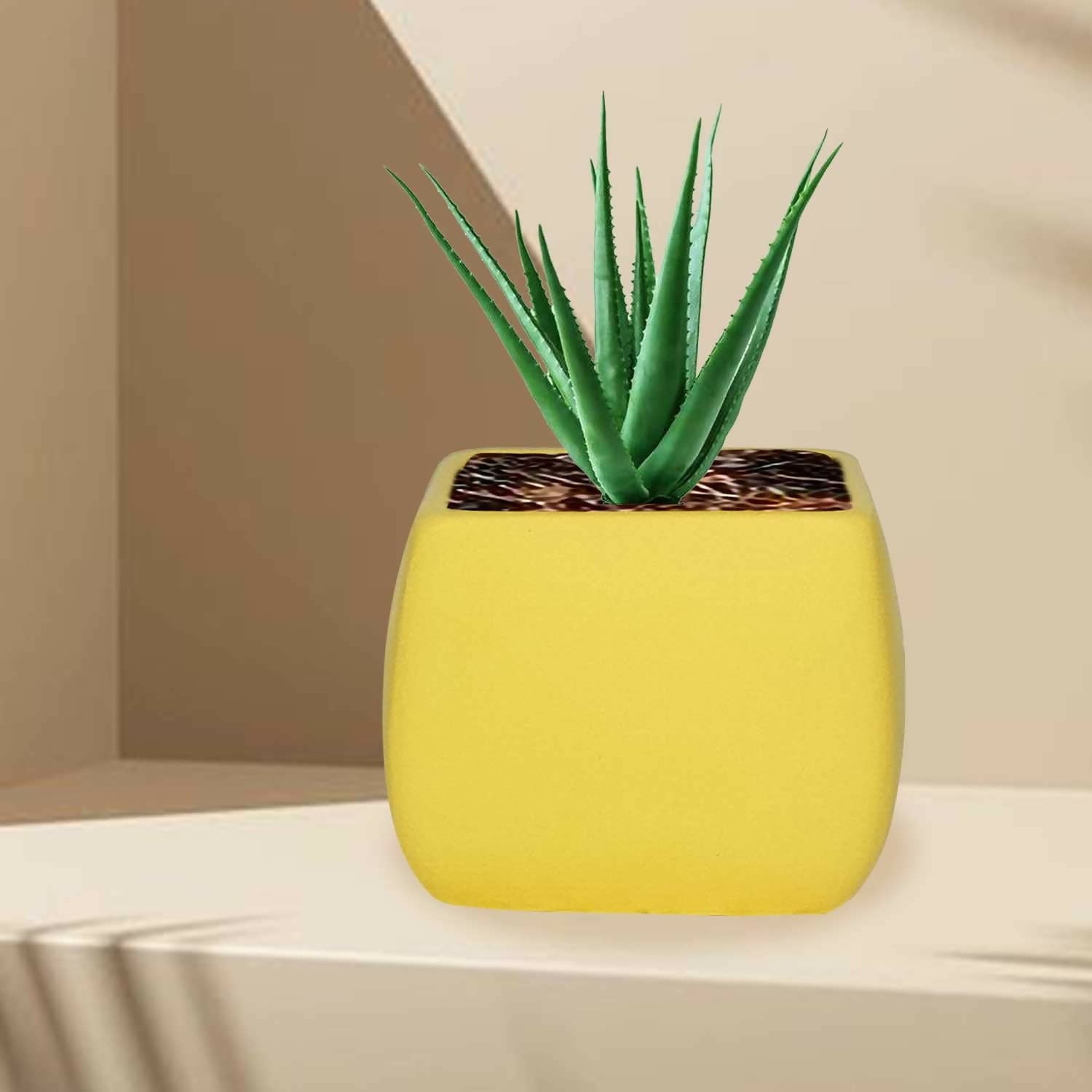 513NU0uRhEL._SL1500_