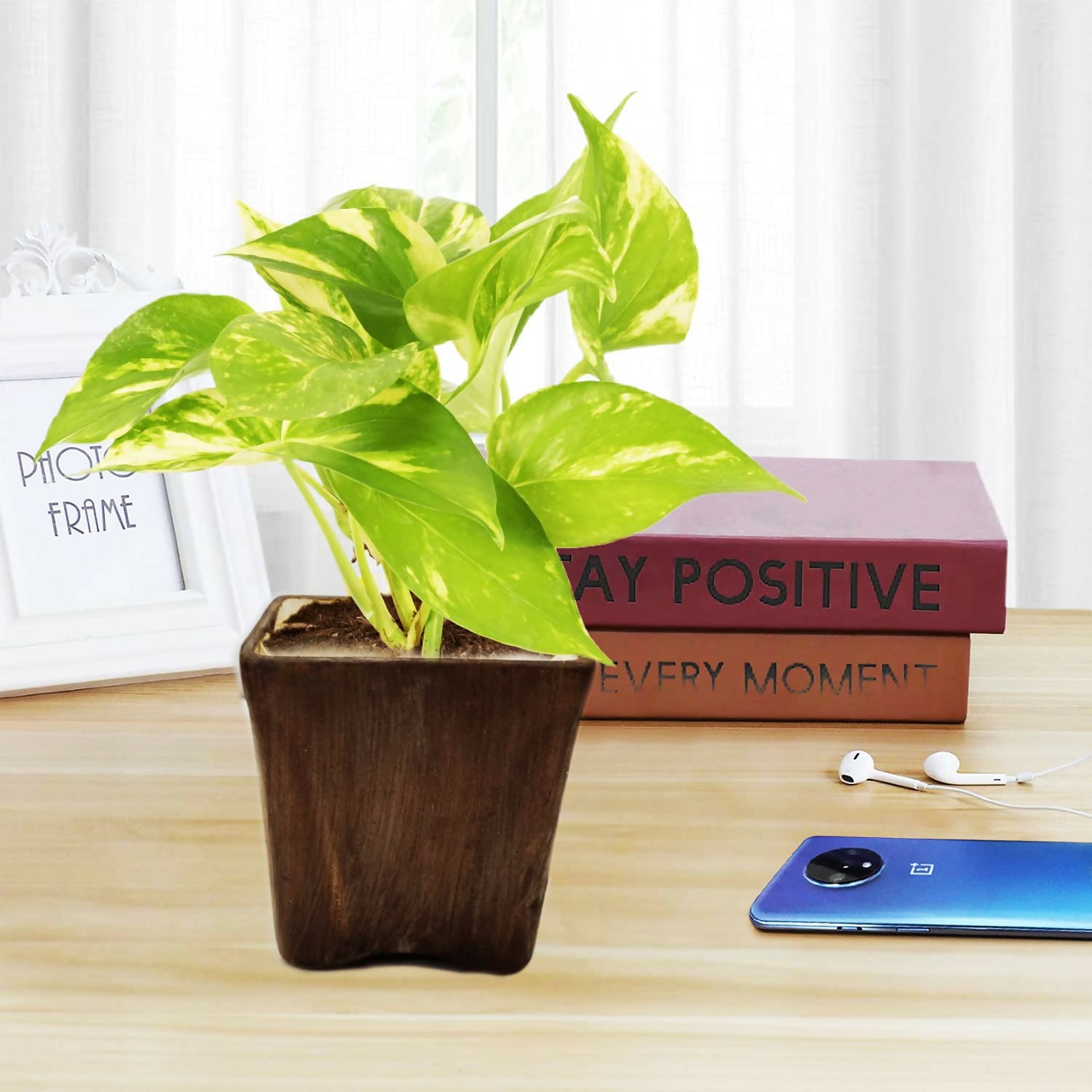 71tMXQePCYS._SL1500_