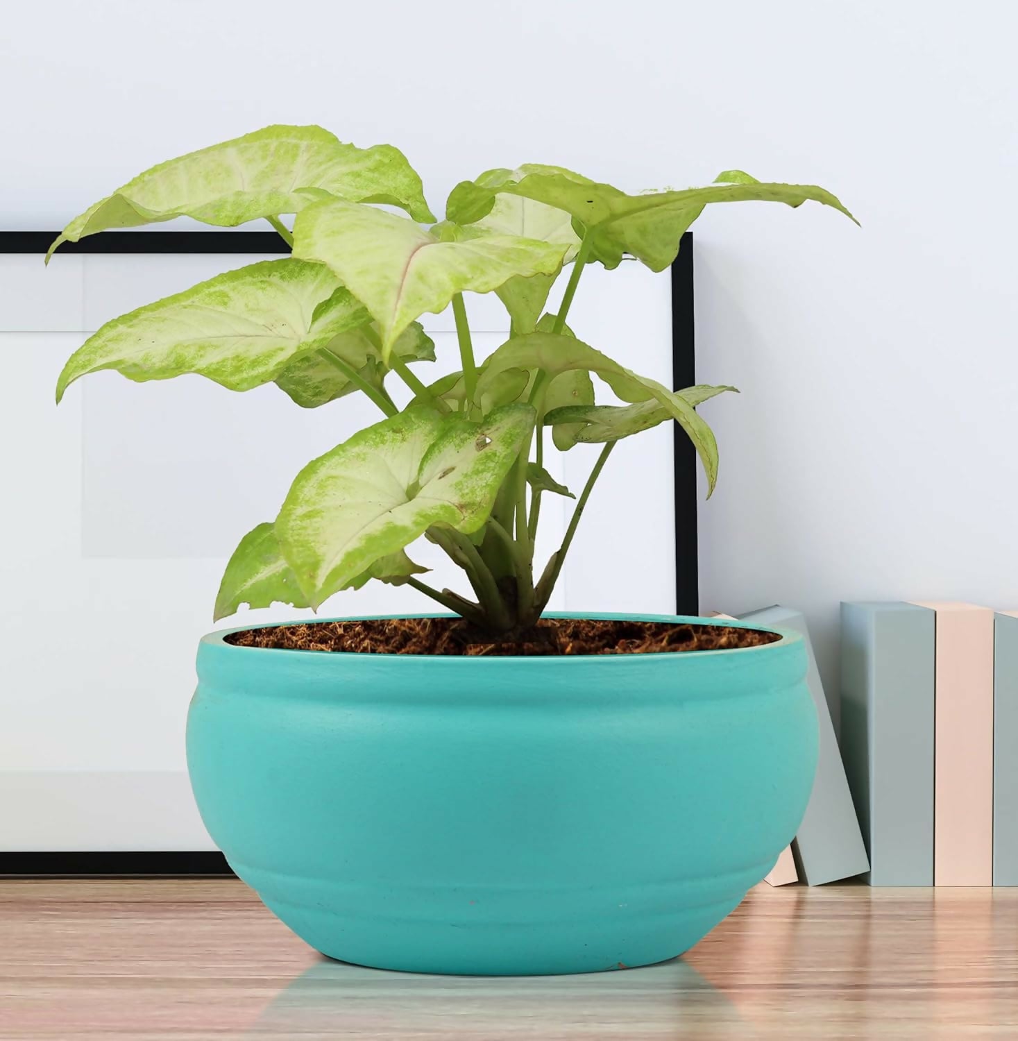 714LvSwB13L._SL1500_