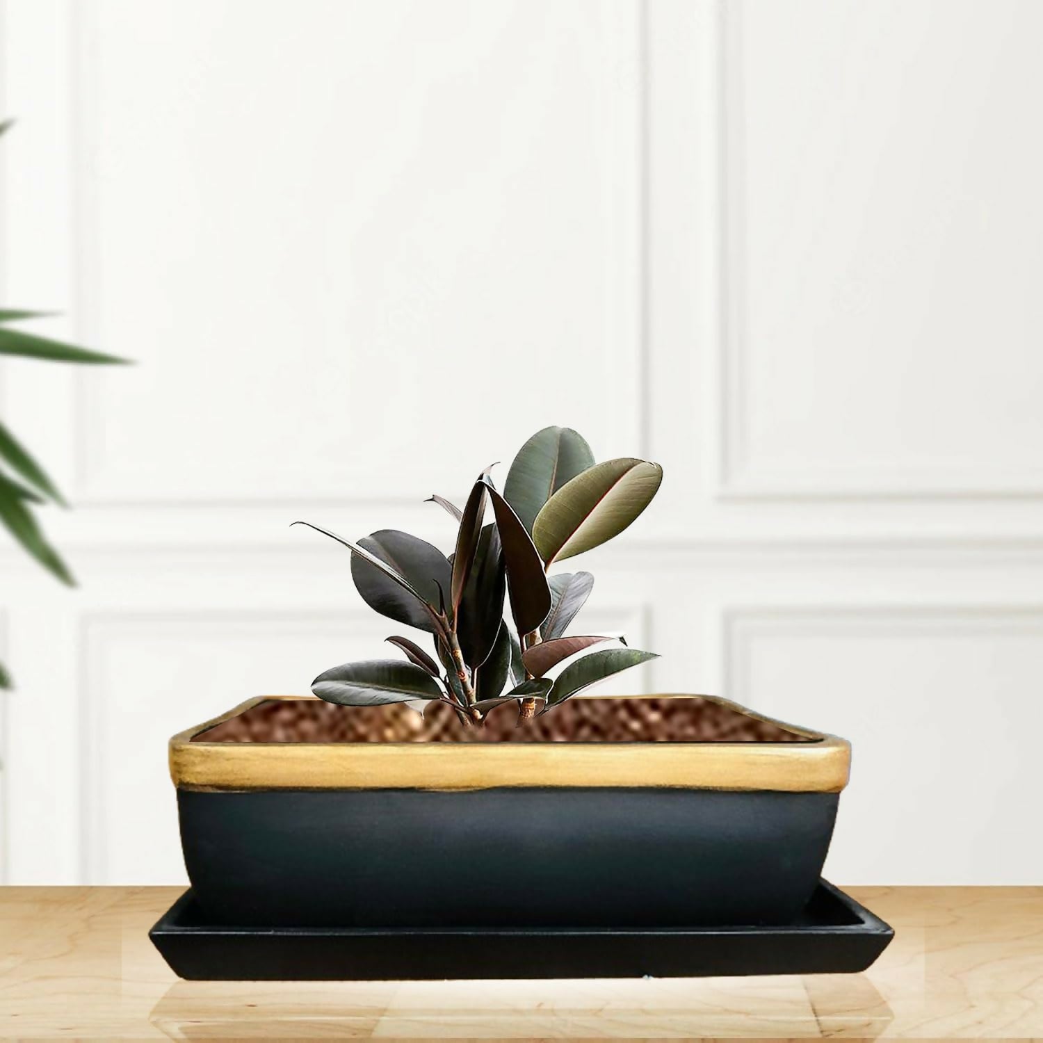 6158sh67kUL._SL1500_