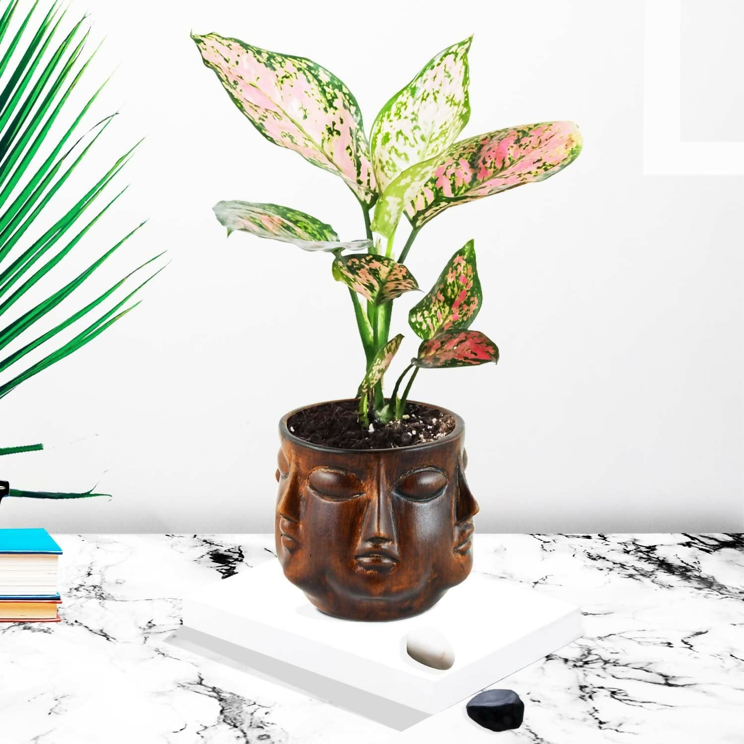 71OyRD3hmSL._SL1500_