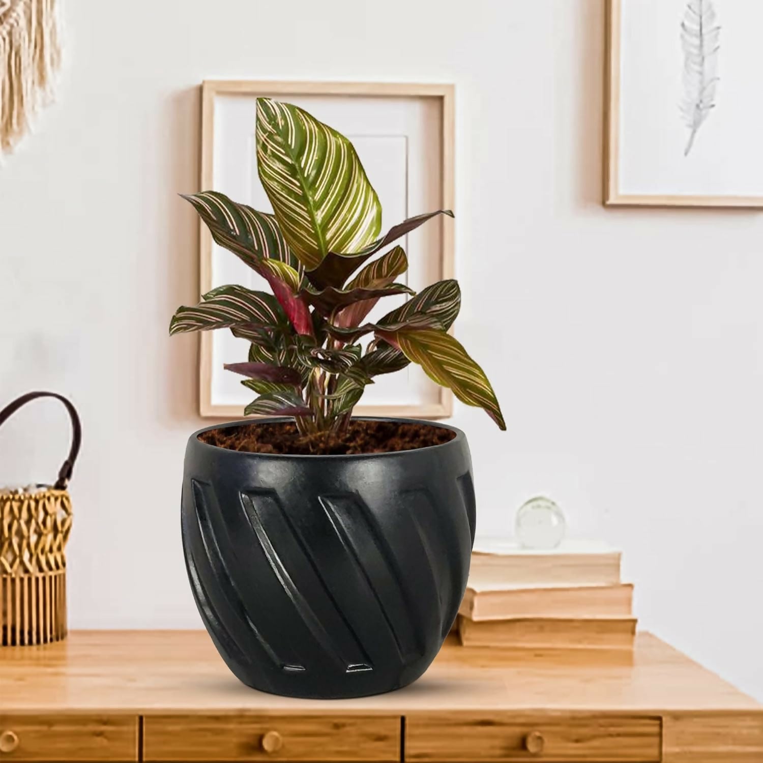 71T5Rz9VMwL._SL1500_