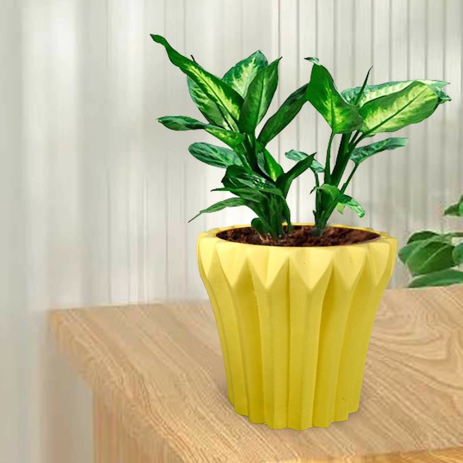 611IyzYzNYL._SL1500_