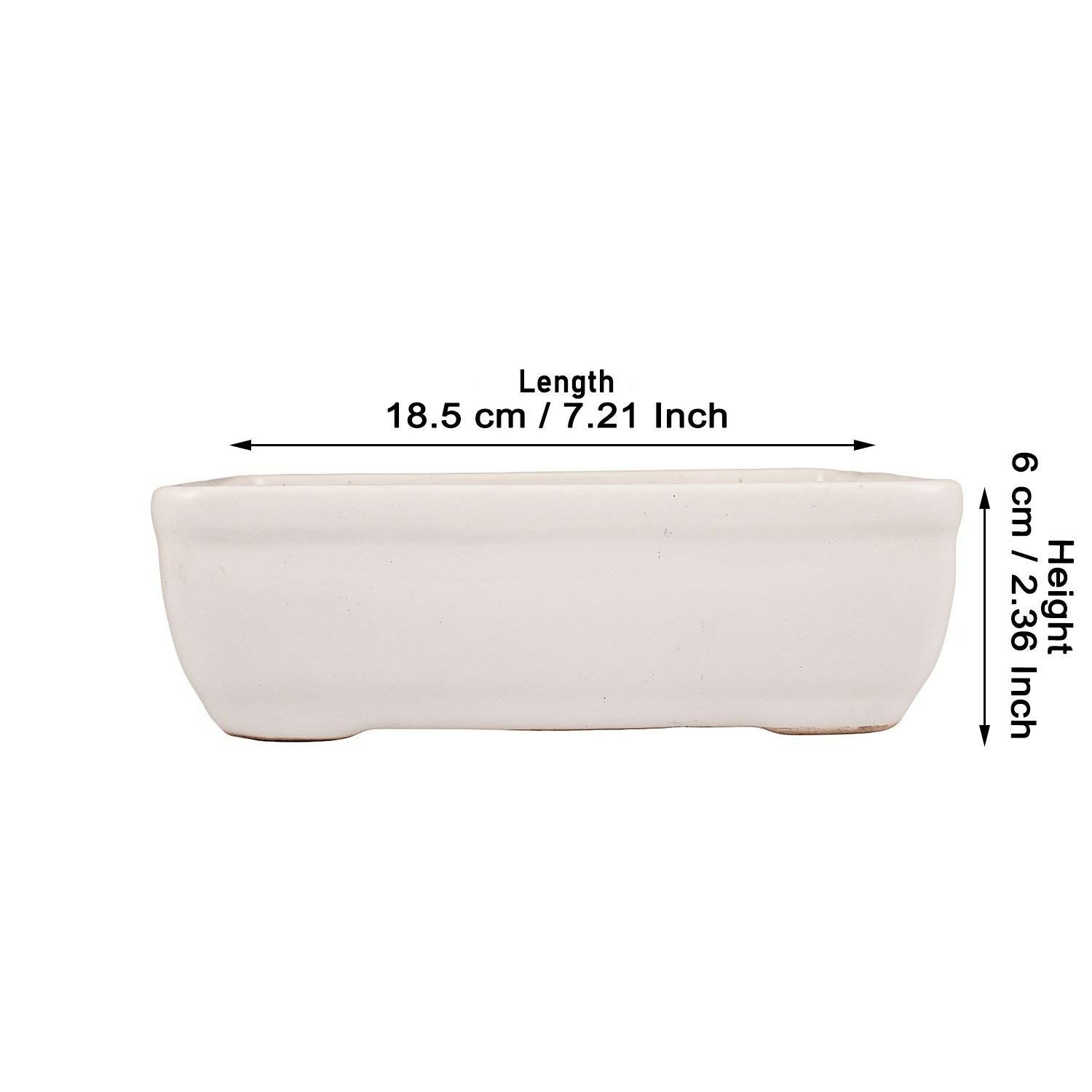 619iF66z-yL._SL1500_