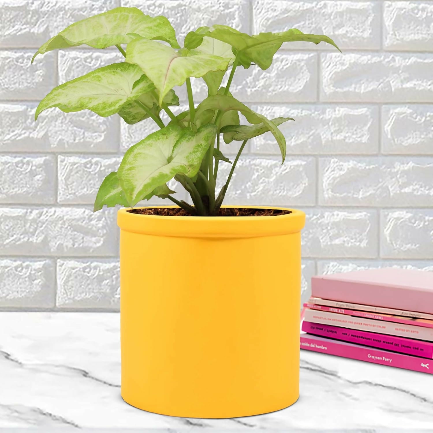 71cjyjhR+XL._SL1500_